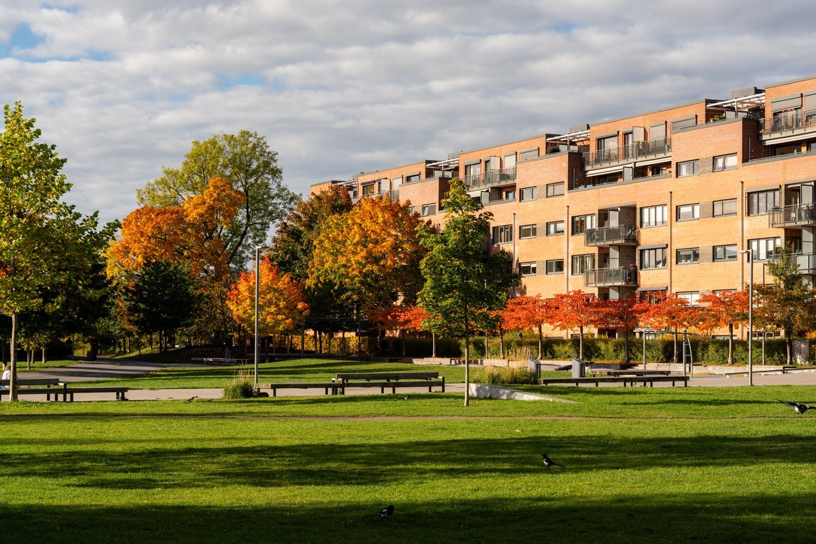 Her ser man Tiedemannsparken med gården i bakgrunnen. Galleribilde