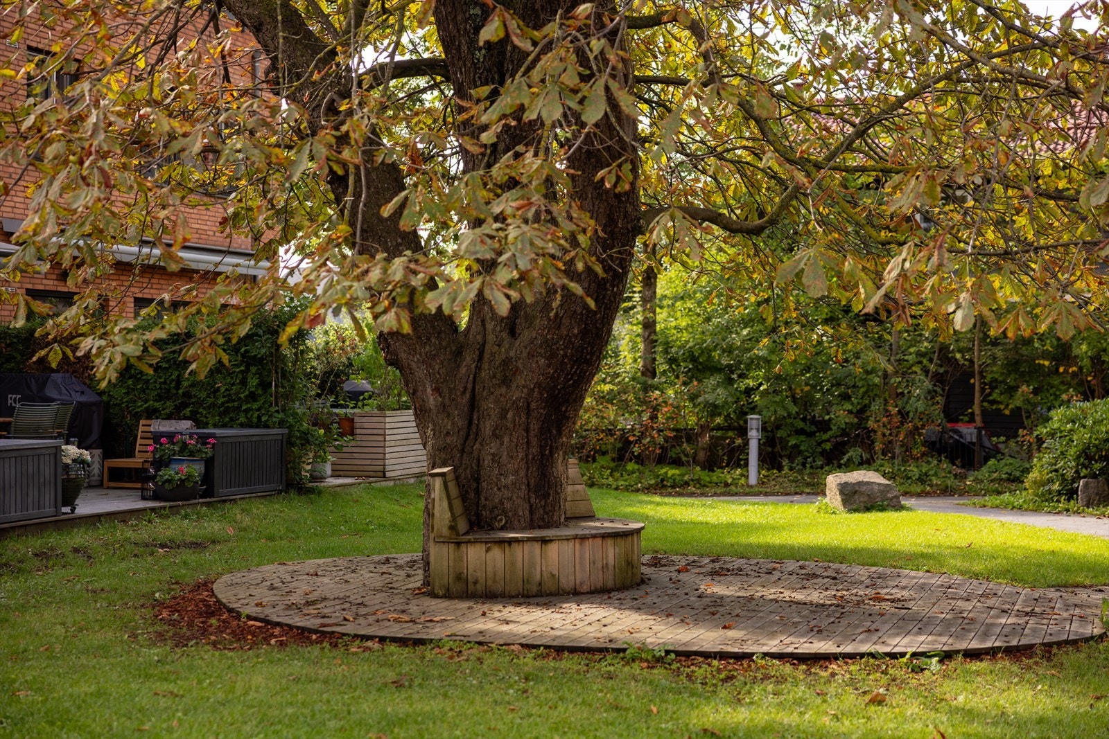 Sameiet har flotte uteområder med gressplen, beplantning og store friluftsområder. Galleribilde