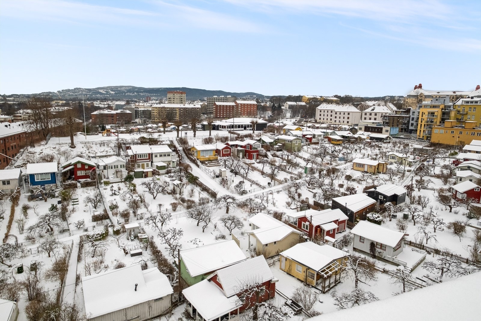 Rodeløkkens kolonihager ligger på andre siden av veien. Bildet er tatt fra takterrassen. Galleribilde