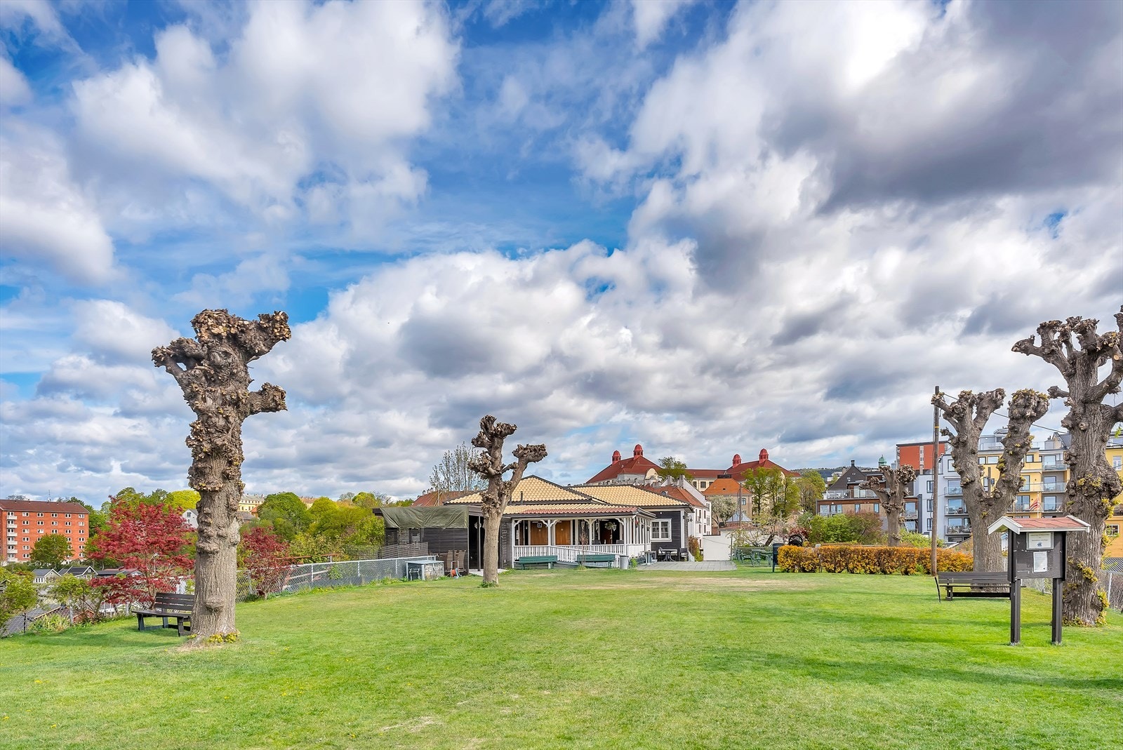 Nærområdet. Galleribilde