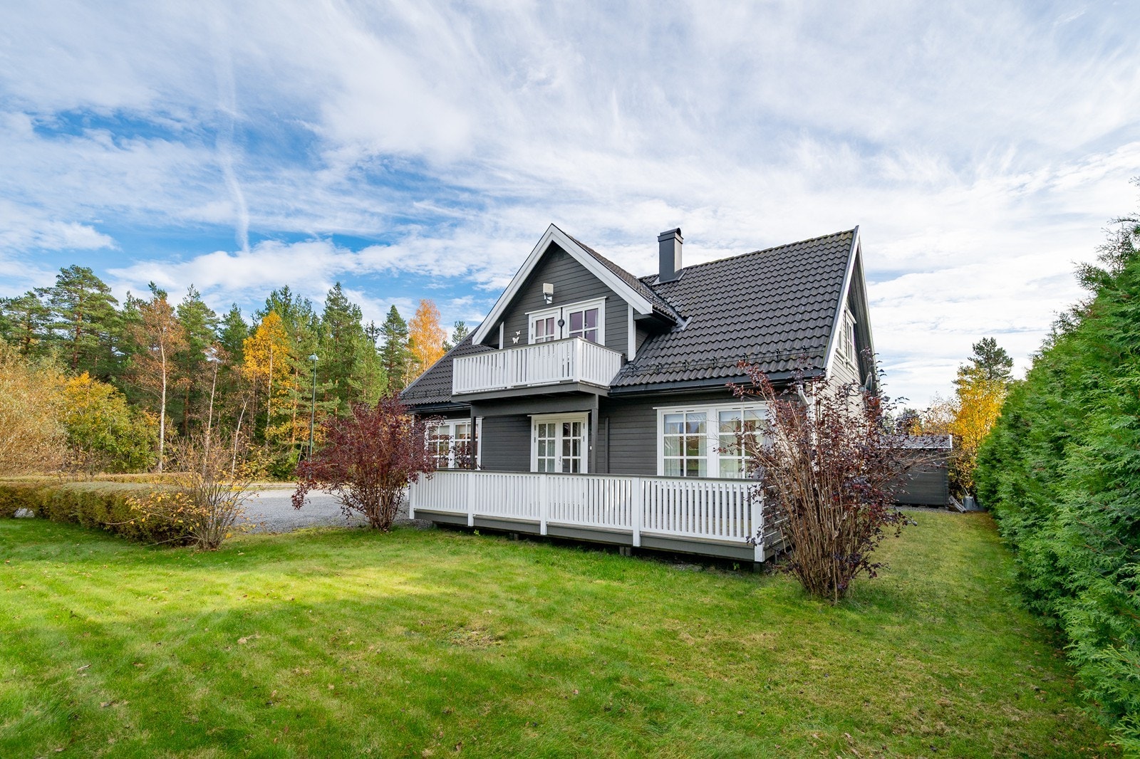 Lindtjenn 12 Galleribilde