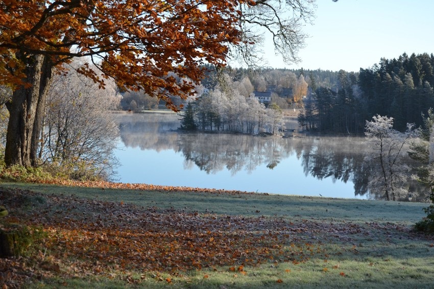 Områdebilde Galleribilde