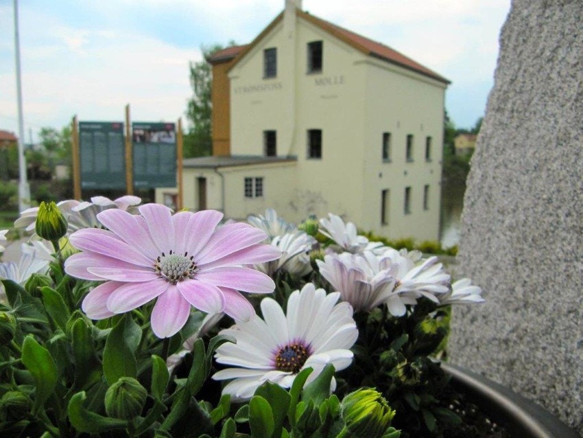 Områdebilde Galleribilde