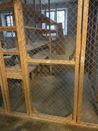 bod i kjeller Galleribilde