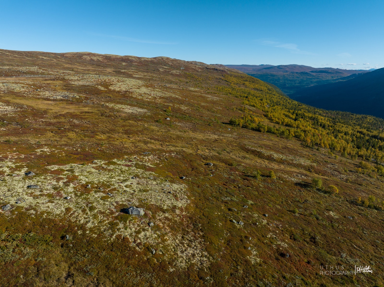 Vidda bak tomtefeltet sett mot øst Galleribilde