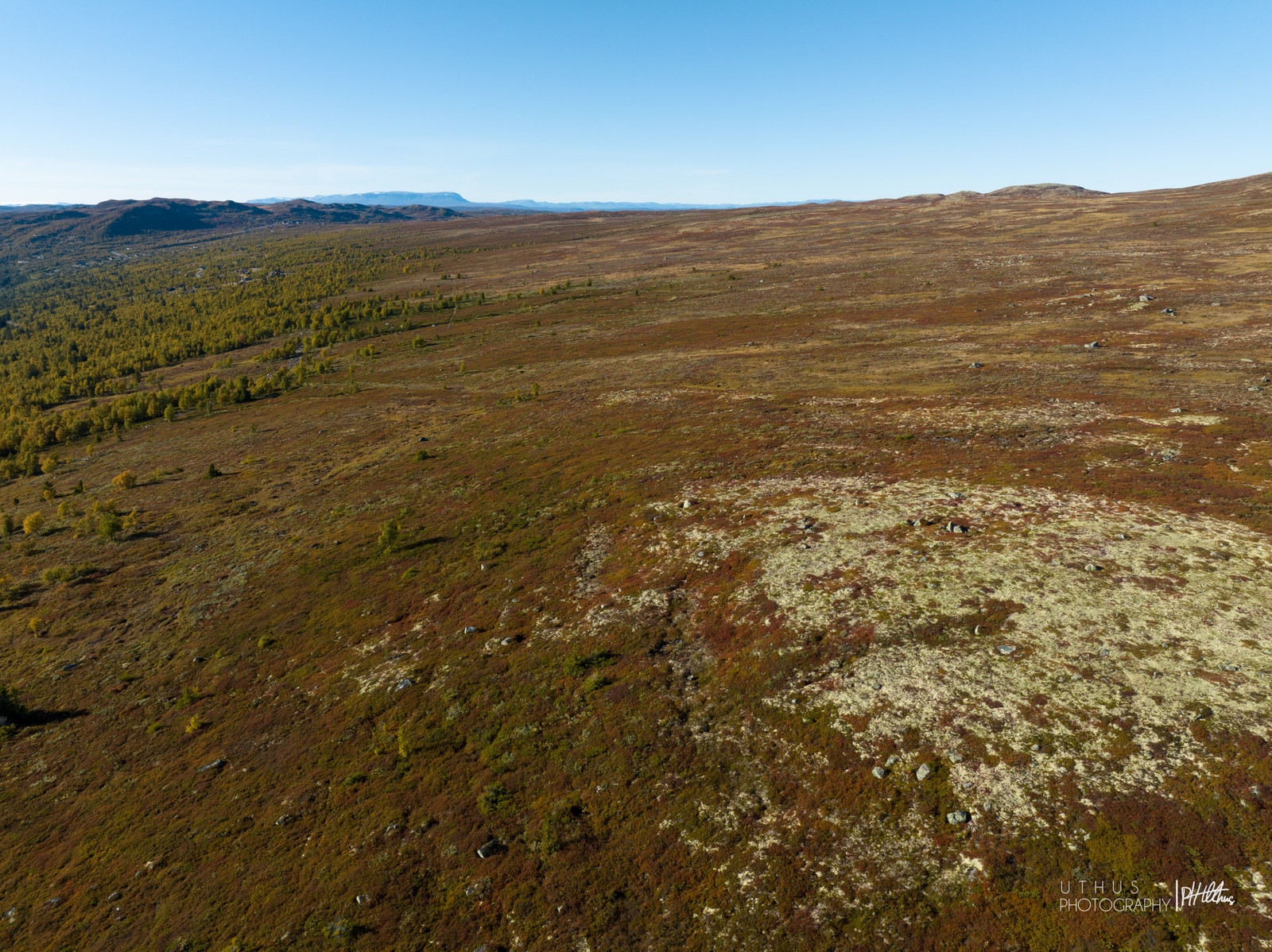 Vidda bak tomtefeltet med Hallingskarvet Galleribilde