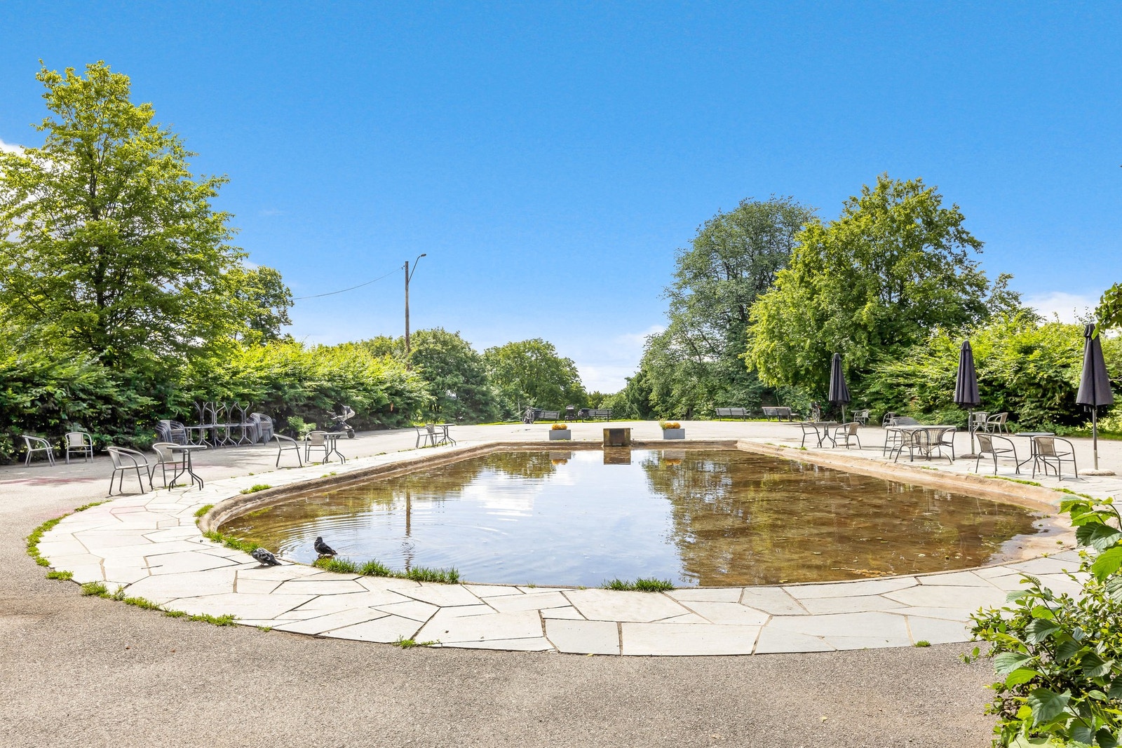 Ilaparken/St.Hanshaugen. Galleribilde