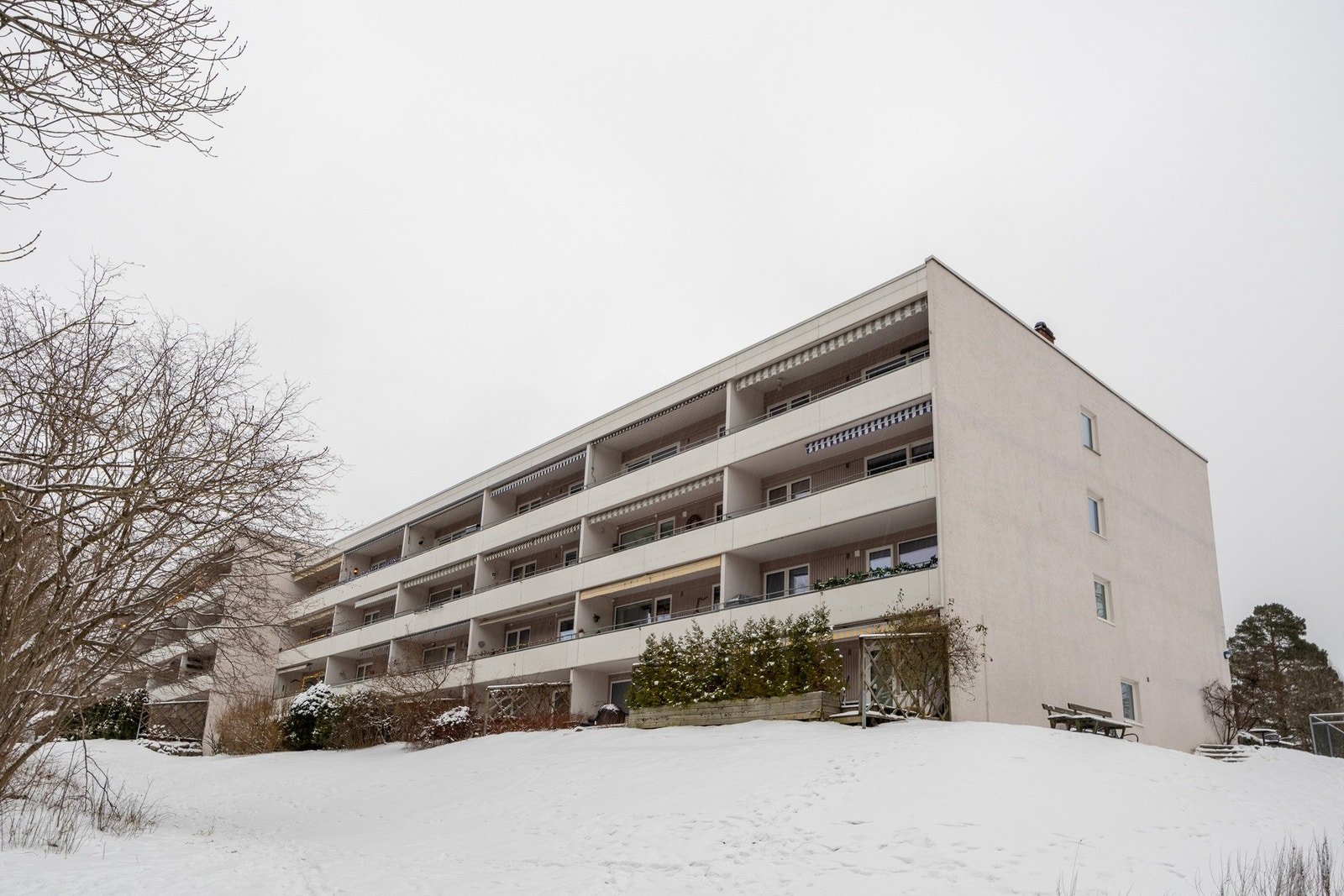 Husk visningspåmelding! Galleribilde