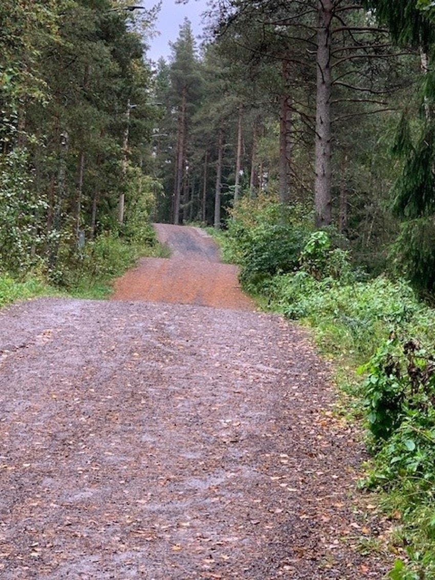 Bilde tatt av selger - Lysløypa i Bråteskogen Galleribilde