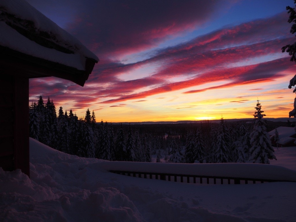 Private bilder Galleribilde