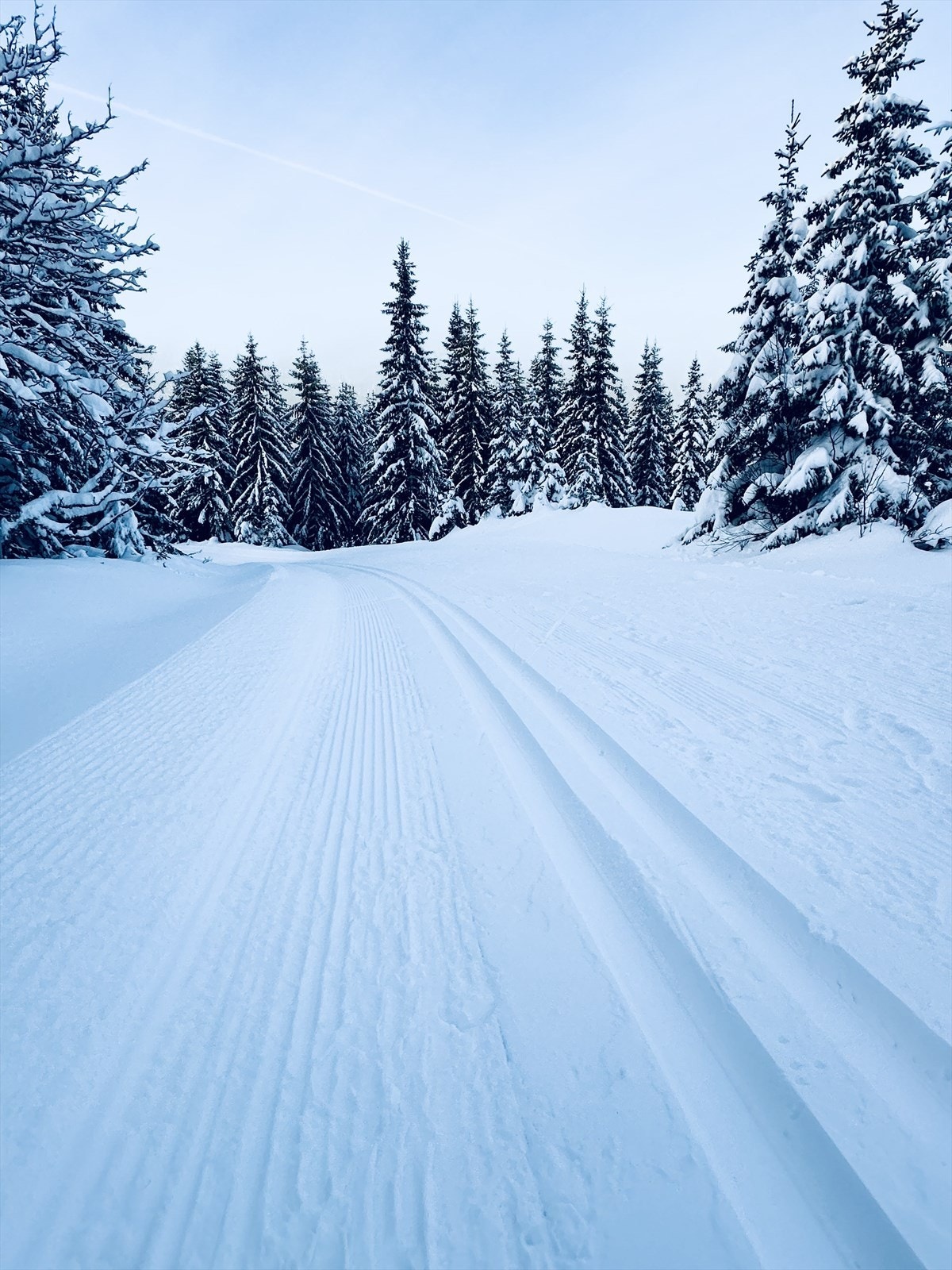 Rett ved hytta går det fine skiløyper Galleribilde