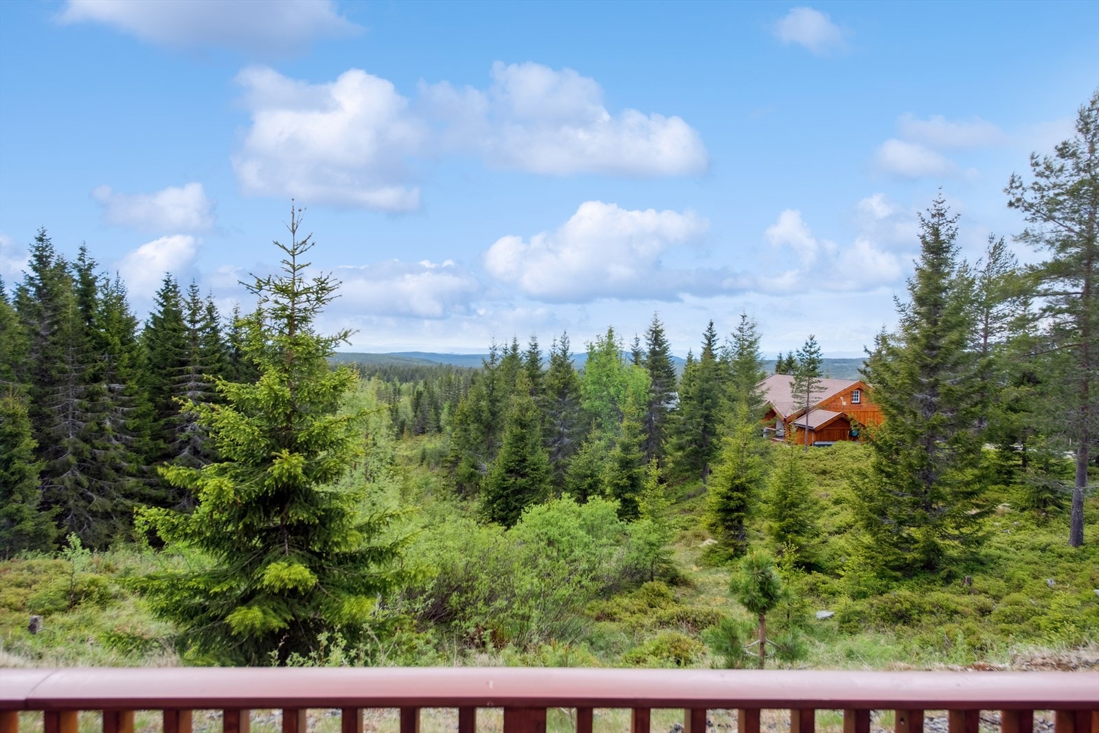 Solrik terrasse med utsikt mot sørvest. Galleribilde