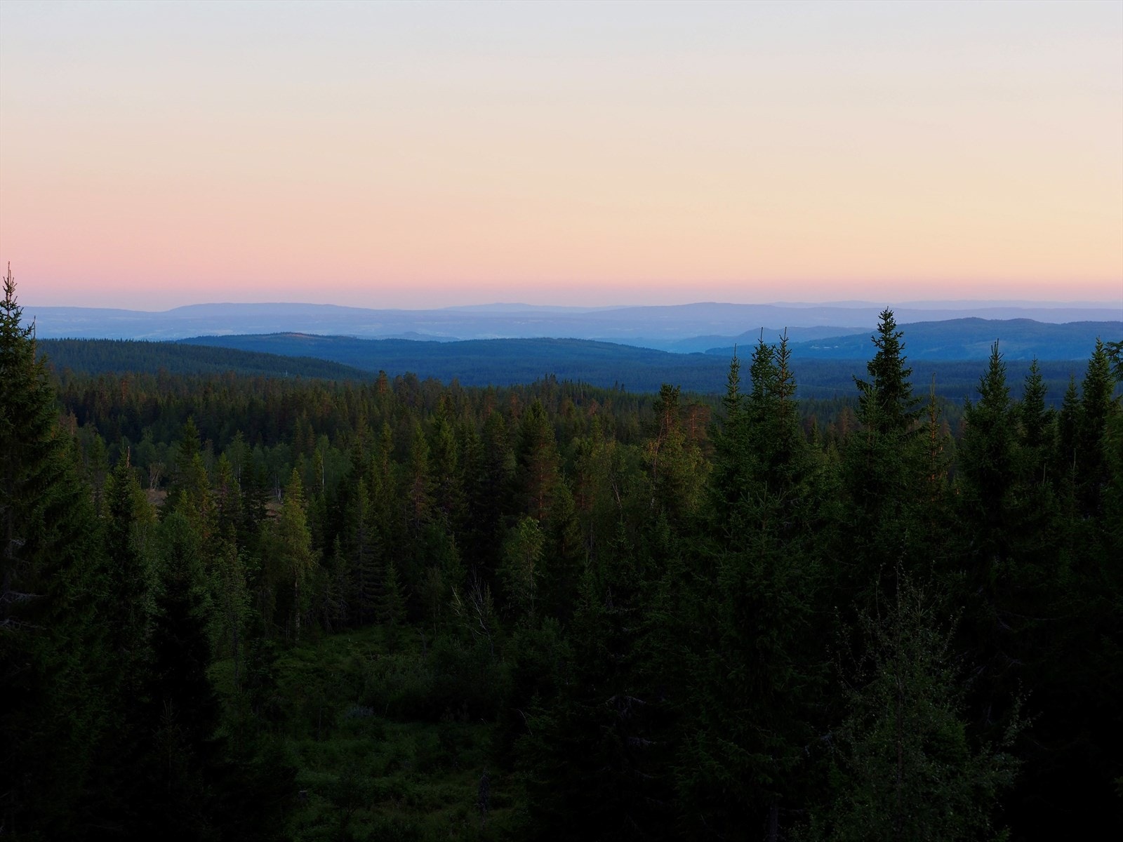 Privat bilde Galleribilde