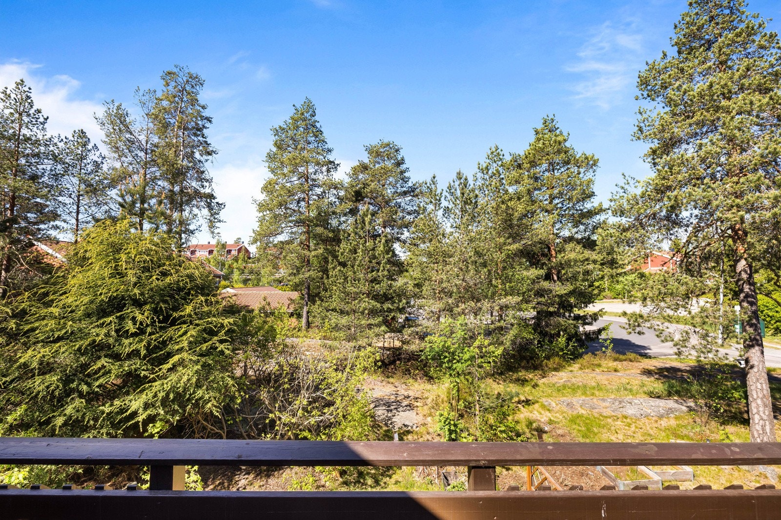 Utsikt. Galleribilde