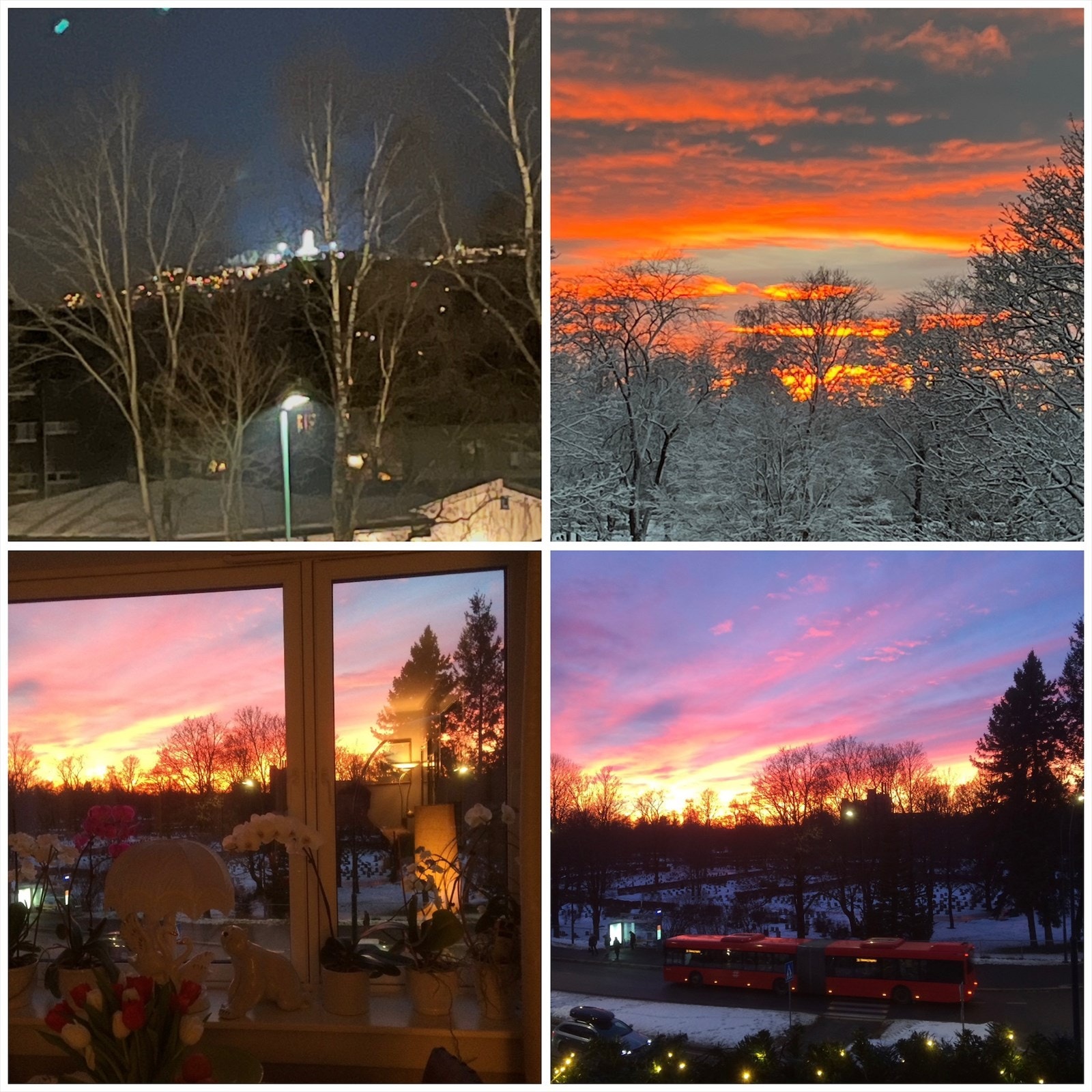 Selgers bilder av solnedganger fra leiligheten. Holmenkollen vises øverst til venstre. Galleribilde