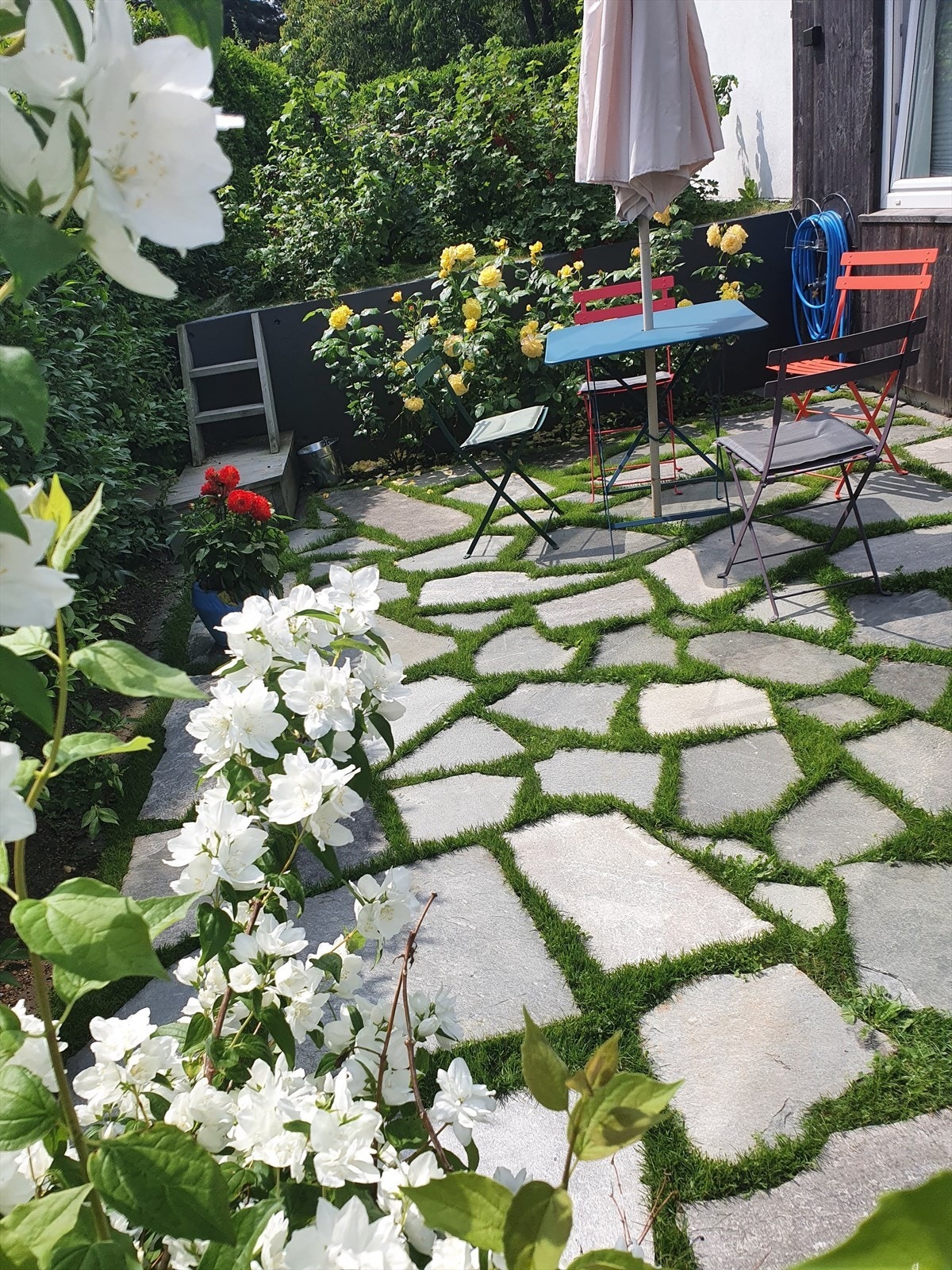 Selgers egne bilder på sommerhalvåret. Galleribilde