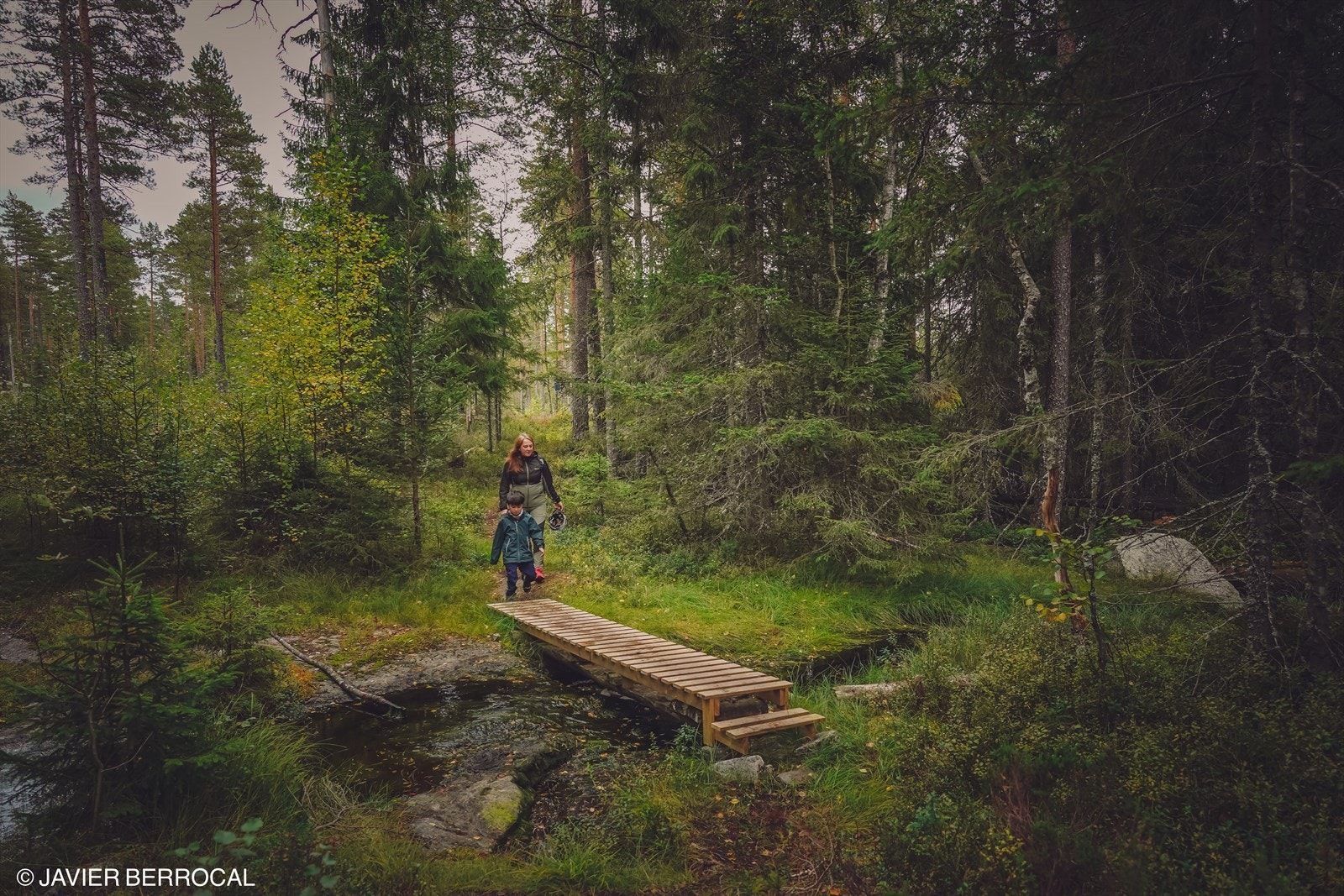 Det finnes flere fine turmuligheter i nærliggende skog Galleribilde