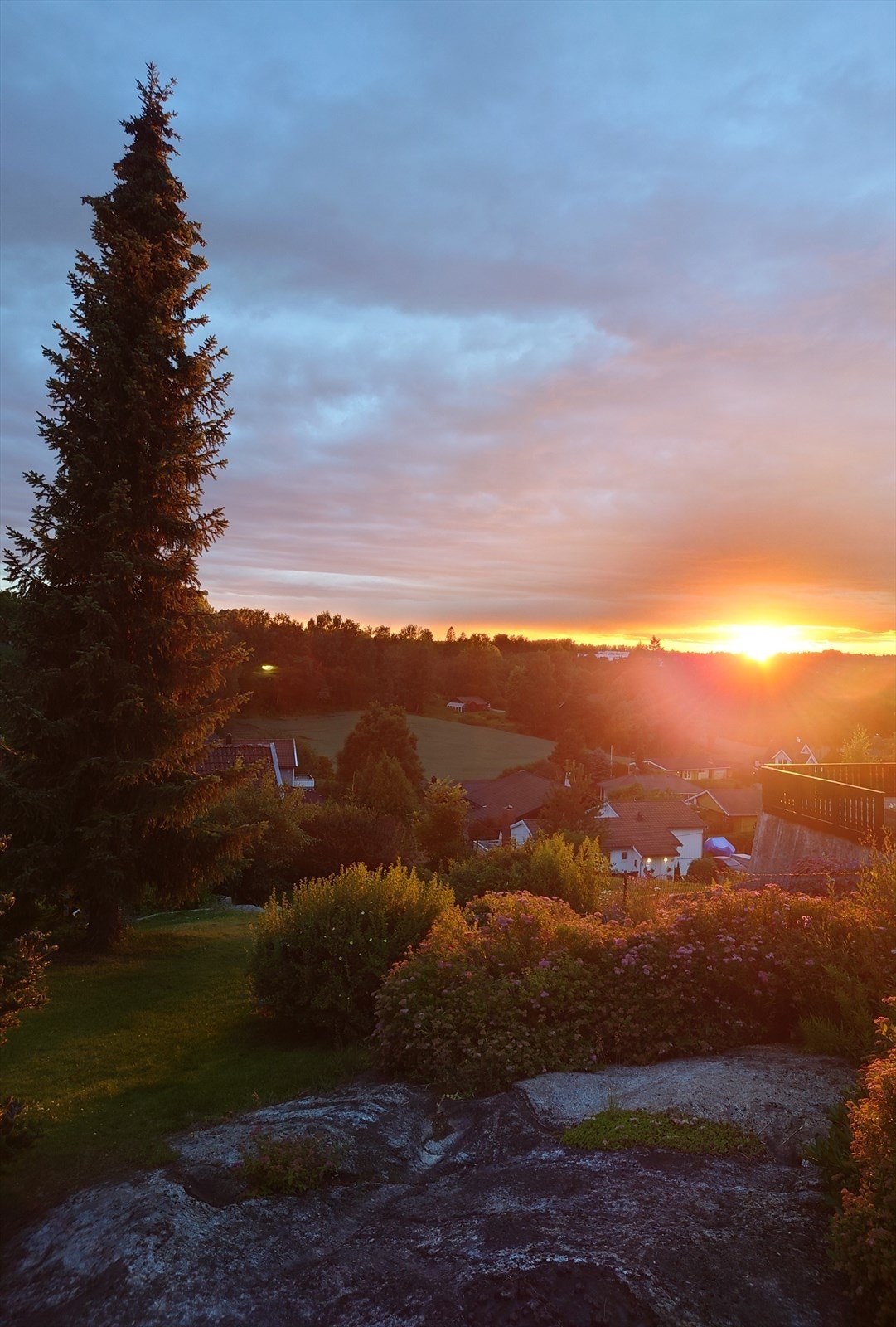 Selgers sommerbilder fra hagen Galleribilde