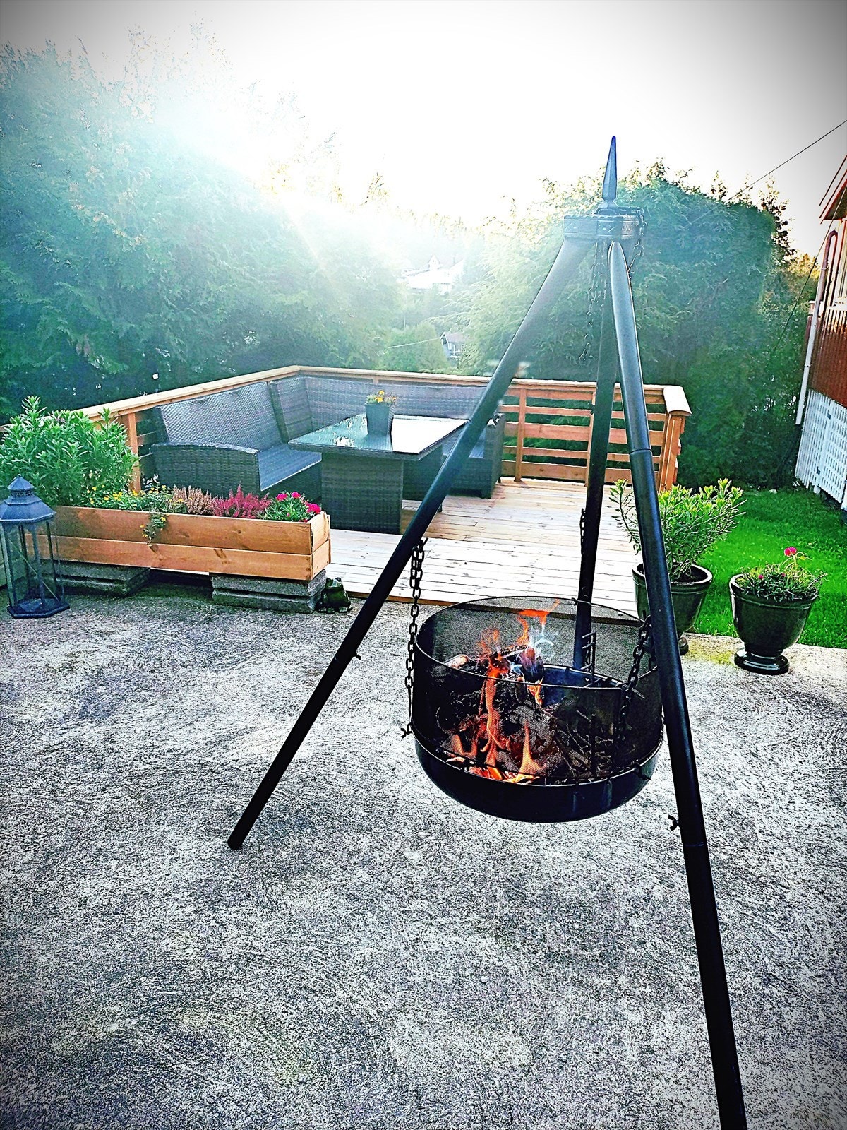 Selgers sommerbilder fra hagen Galleribilde