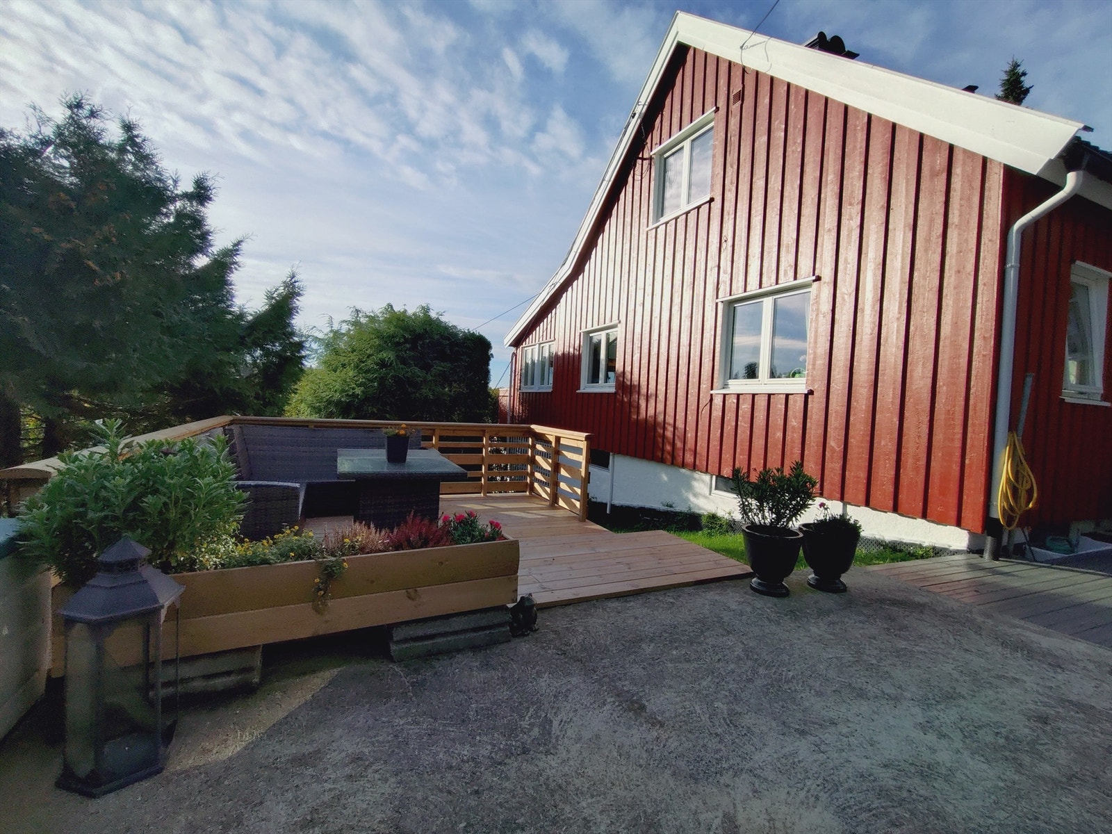 Selgers sommerbilder fra hagen Galleribilde