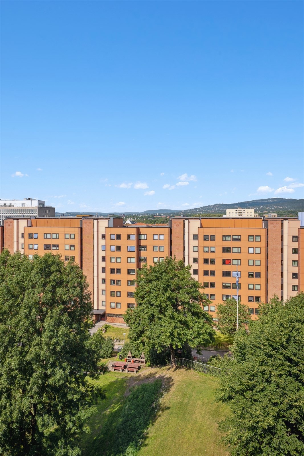 Borettslagets fellesområder er pent opparbeidet med asfalterte adkomstveier og plasser, velstelte gressarealer, variert beplantning, trær og lekeapparater. Galleribilde