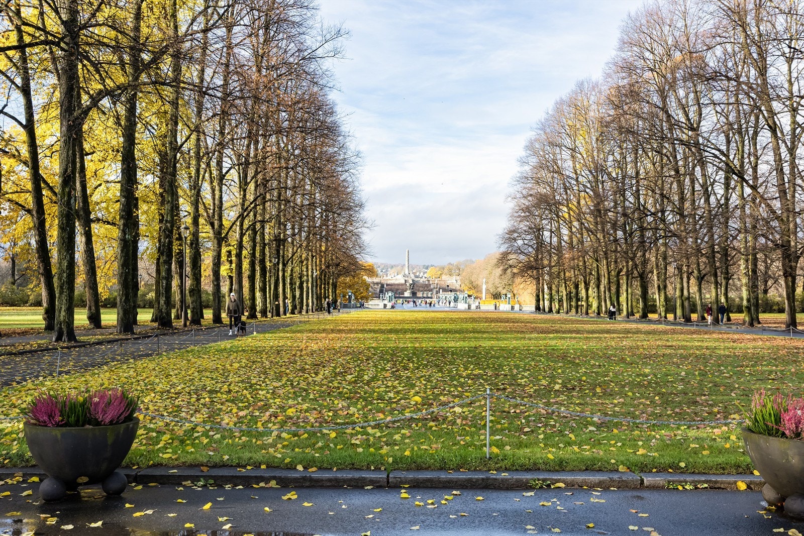 Området byr på et bredt utvalg av treningssentre, som SATS Colosseum, EVO Majorstuen og Frognerparken tennisanlegg. Galleribilde