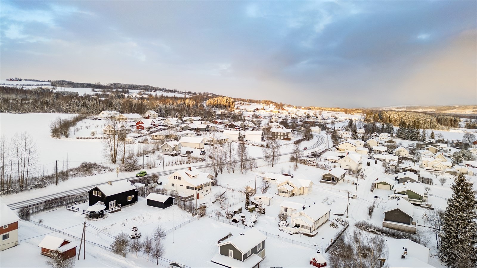 Fra nærområdet. Galleribilde