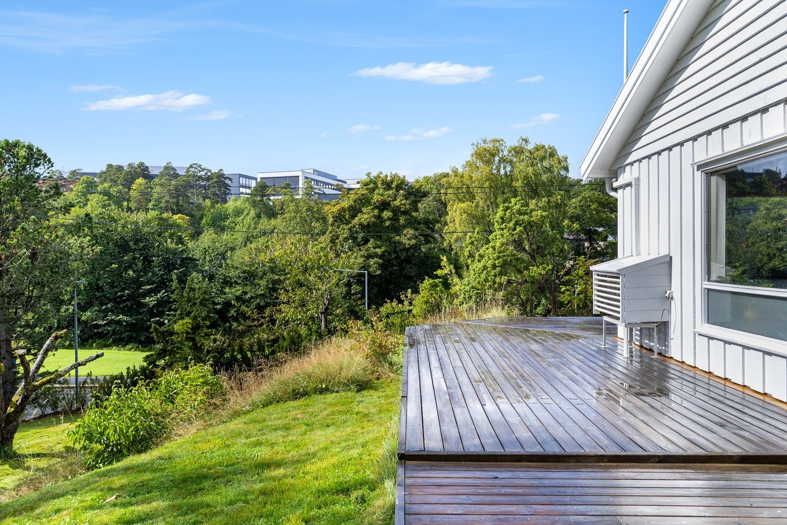 Stor, solrik og lettstelt tomt. Galleribilde