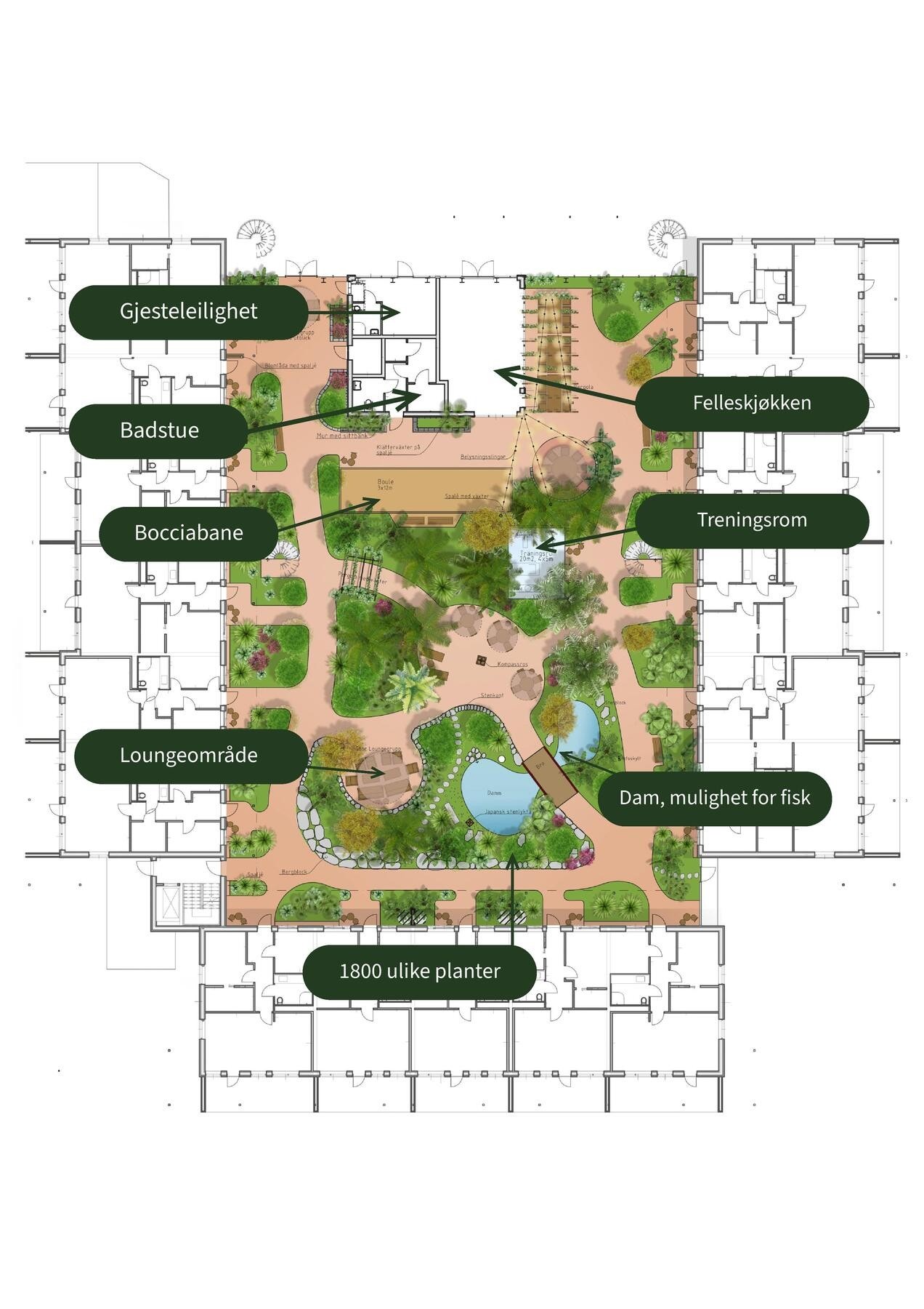 Oversiktsbilde over hva vinterhagen inneholder Galleribilde