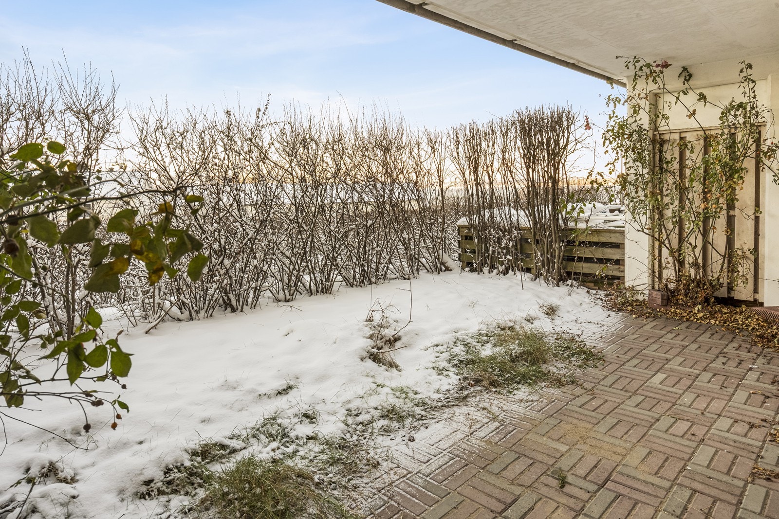 Her er det rom for å etablere en sittegruppe og beplantning. Galleribilde