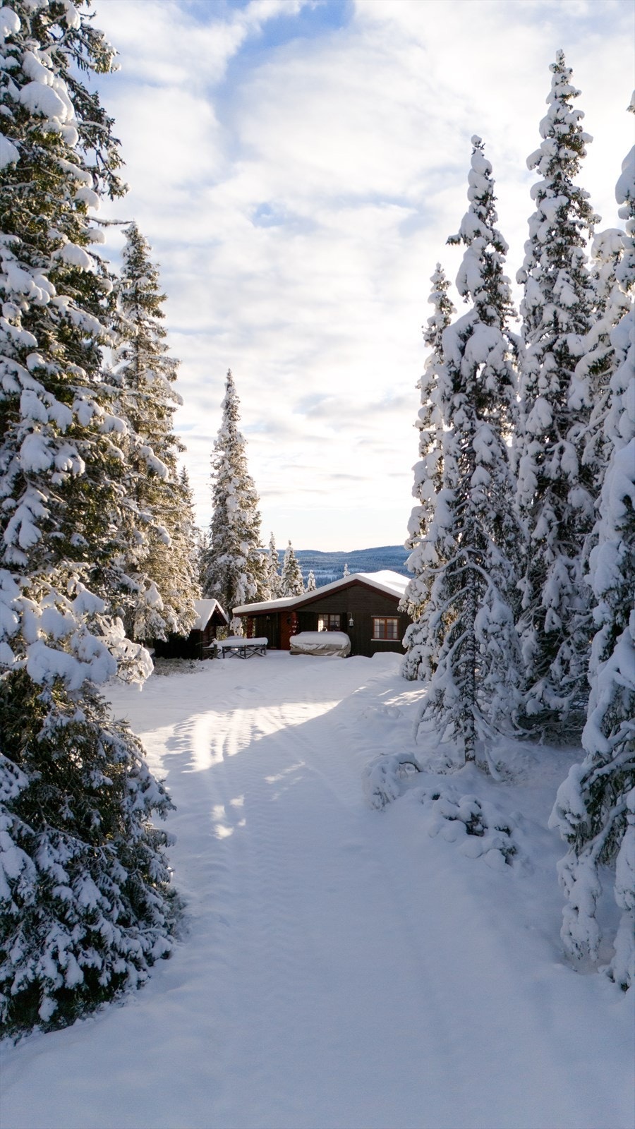 Privat veg inn til hytta som ligger skjermet for innsyn, men flott utsikt Galleribilde