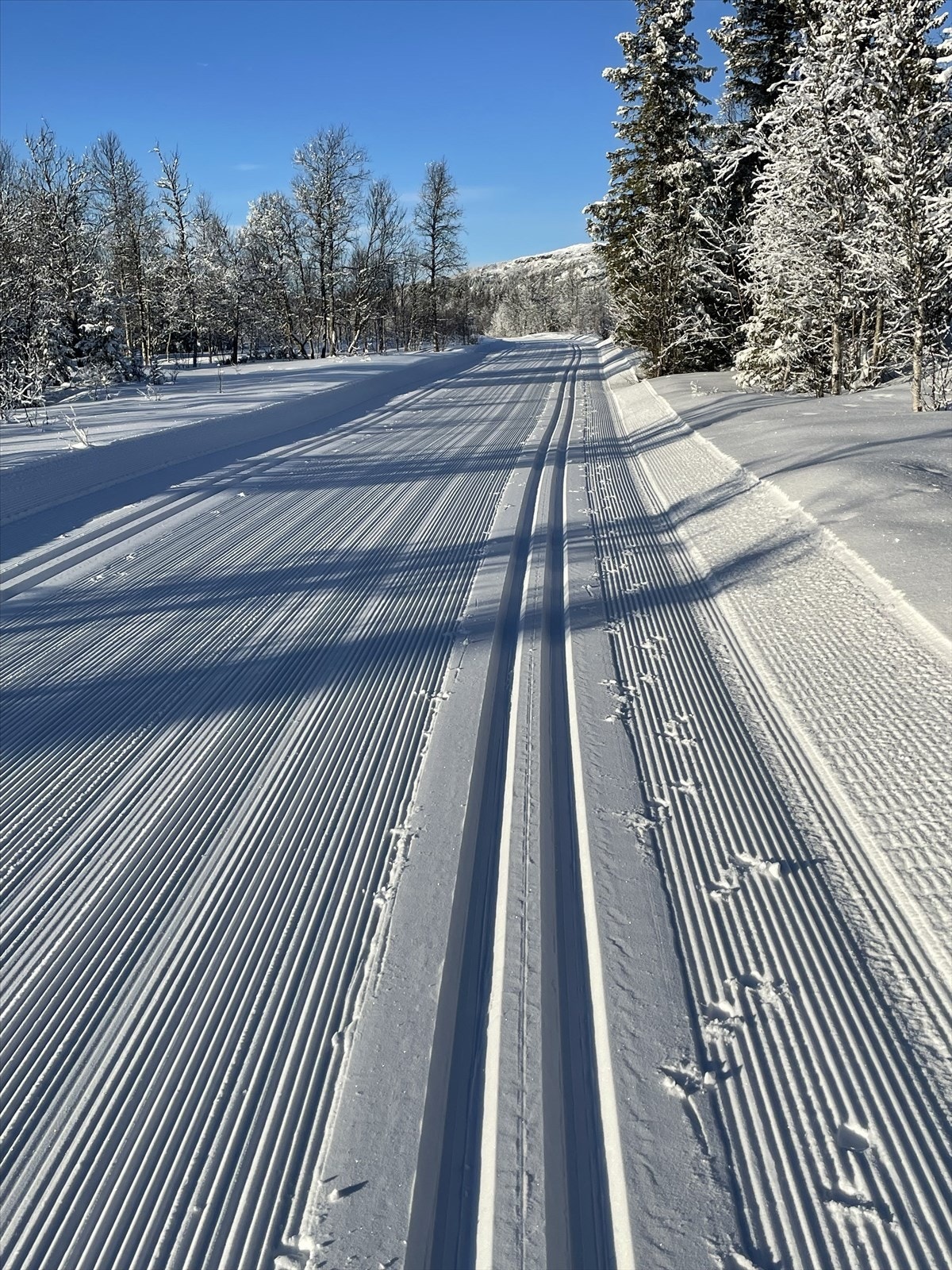 Området er kjent for flotte turmuligheter sommer som vinter med kort vei opp til fjellet. Galleribilde