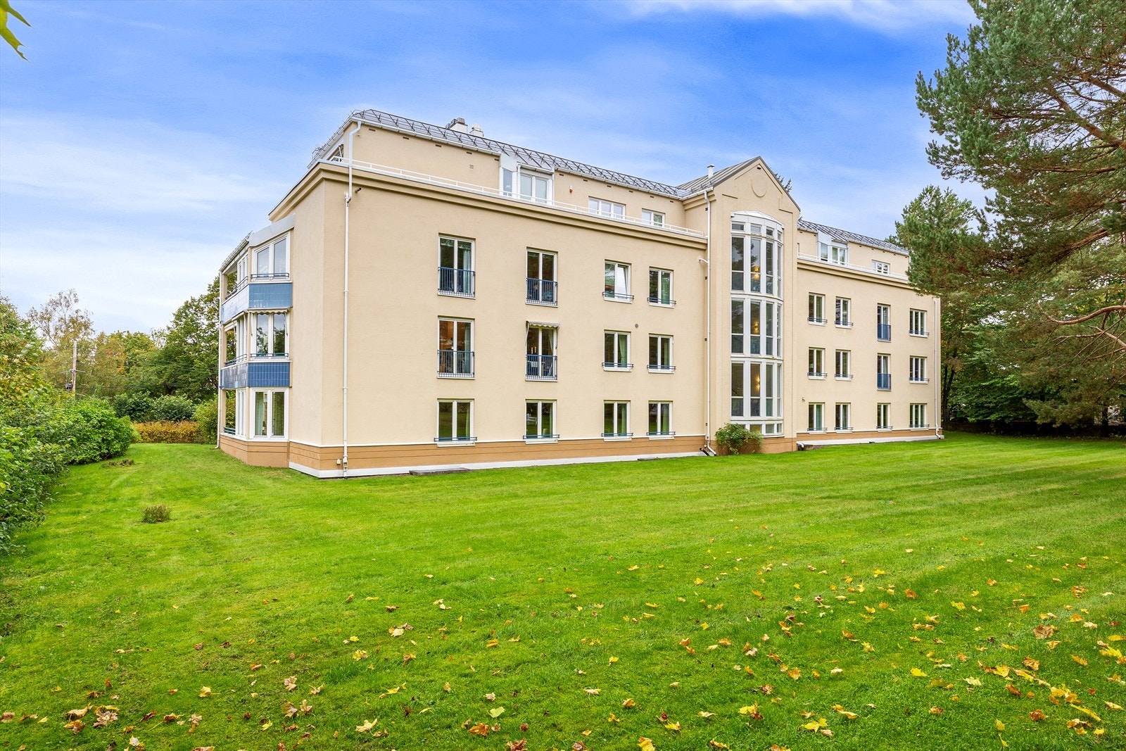 Sameiet har stor felles tomt Galleribilde