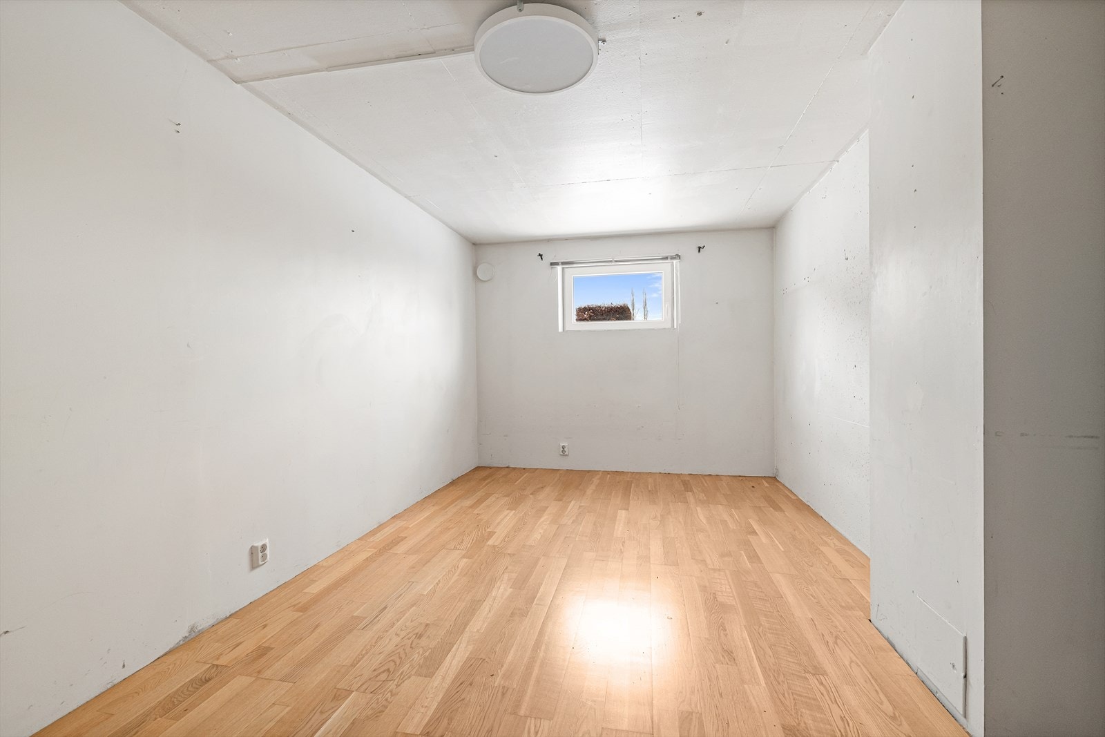 Rom i kjeller Galleribilde