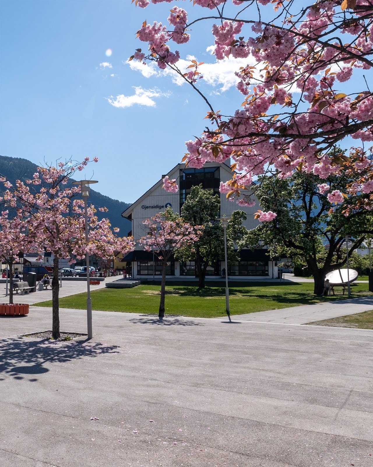 Her bur du i umiddelbar nærheit til kafe, restaurant, butikksenter og HVL. Galleribilde