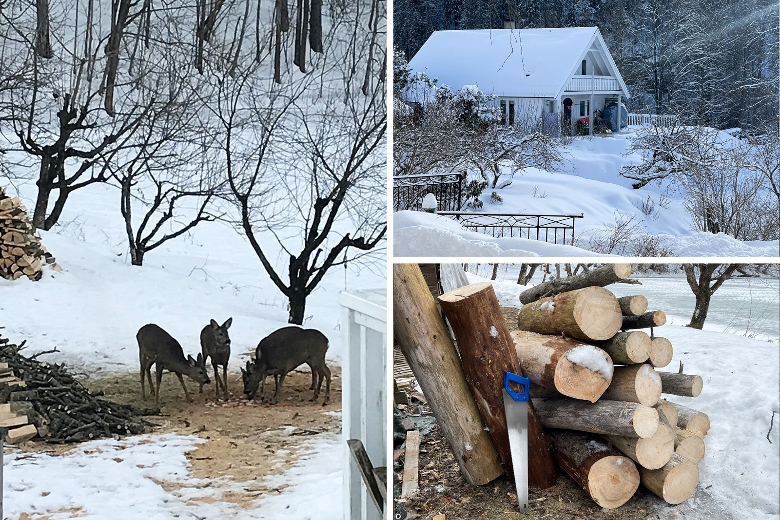 Selgers private bilder* Galleribilde