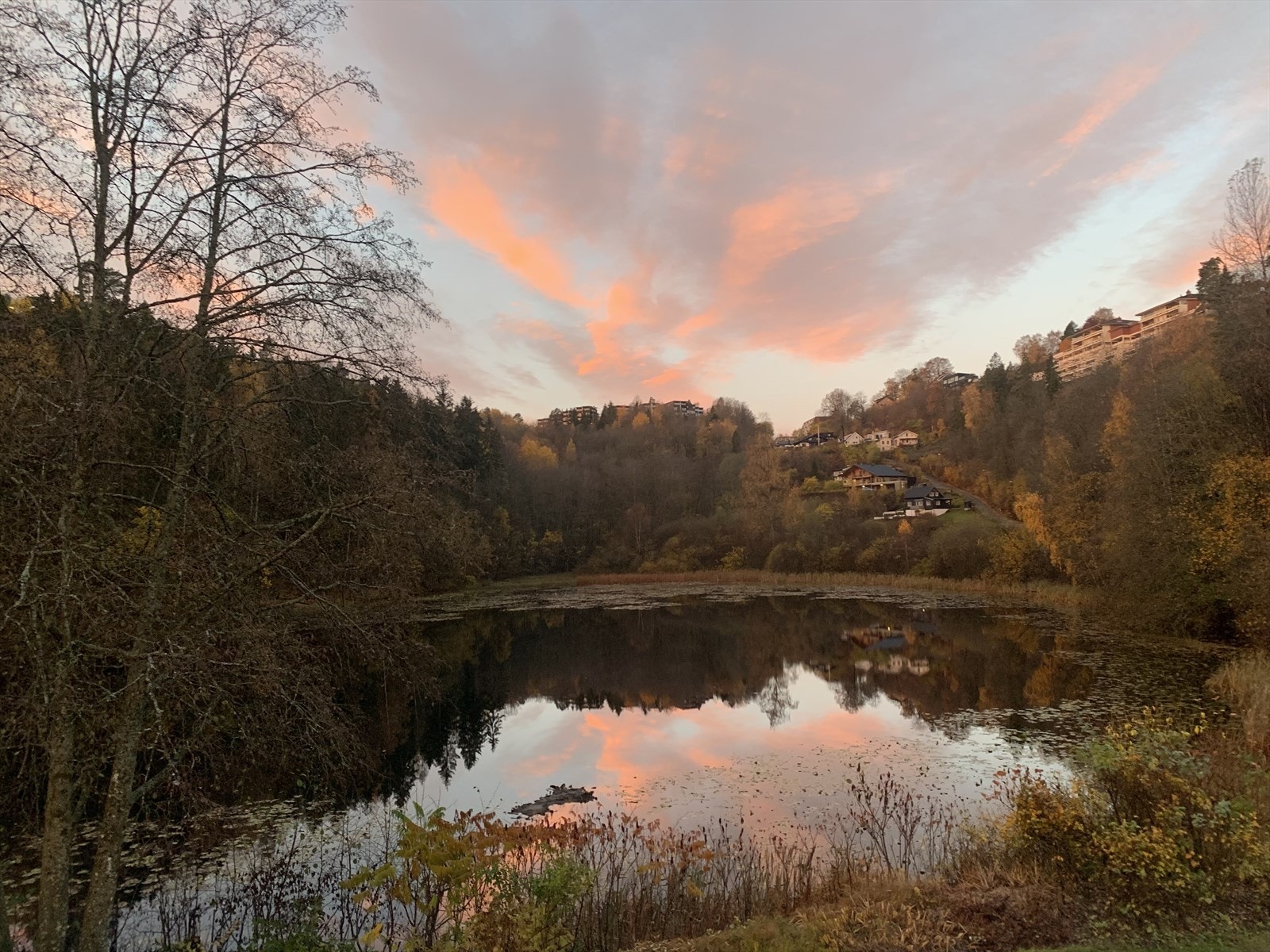 Selgers private bilder* Galleribilde