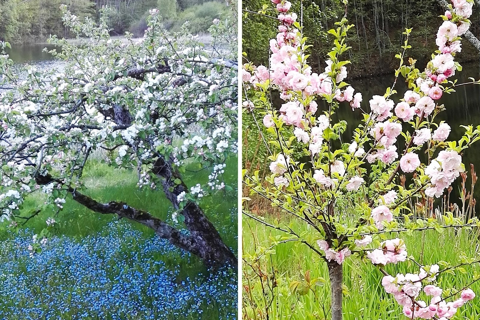 Selgers private bilder* Galleribilde