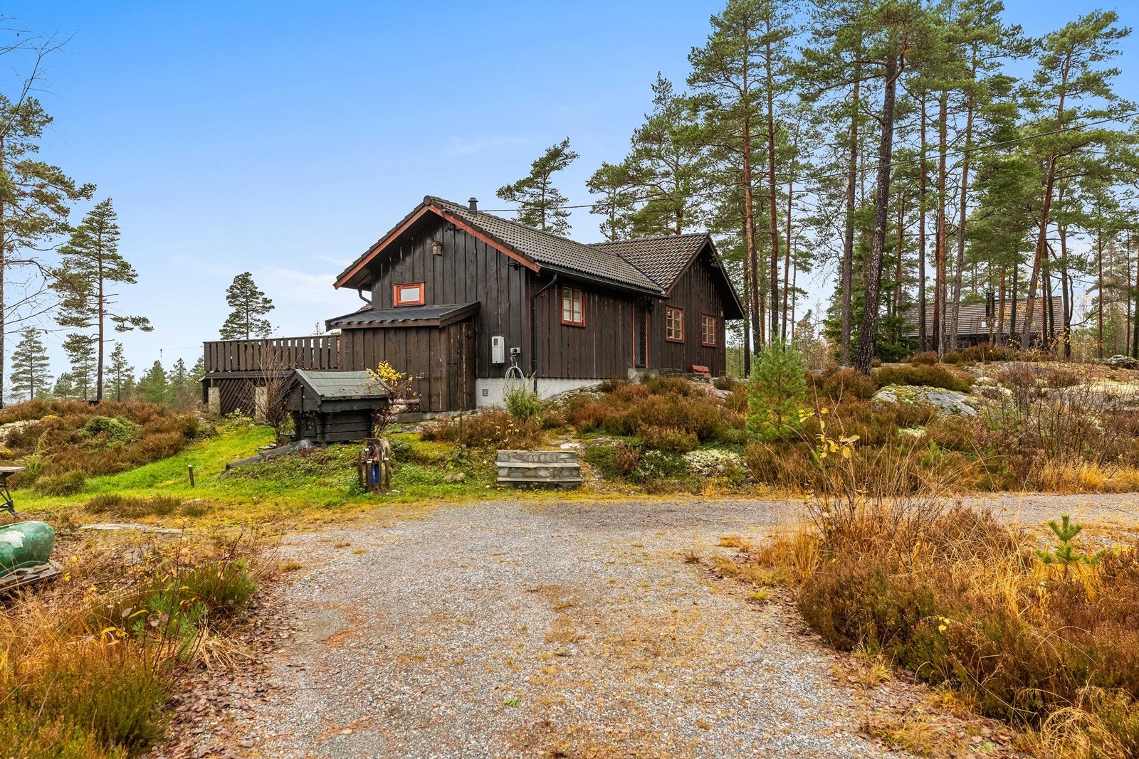 Eiendommen ligger usjenert til med bilvei helt frem til hytta. Galleribilde