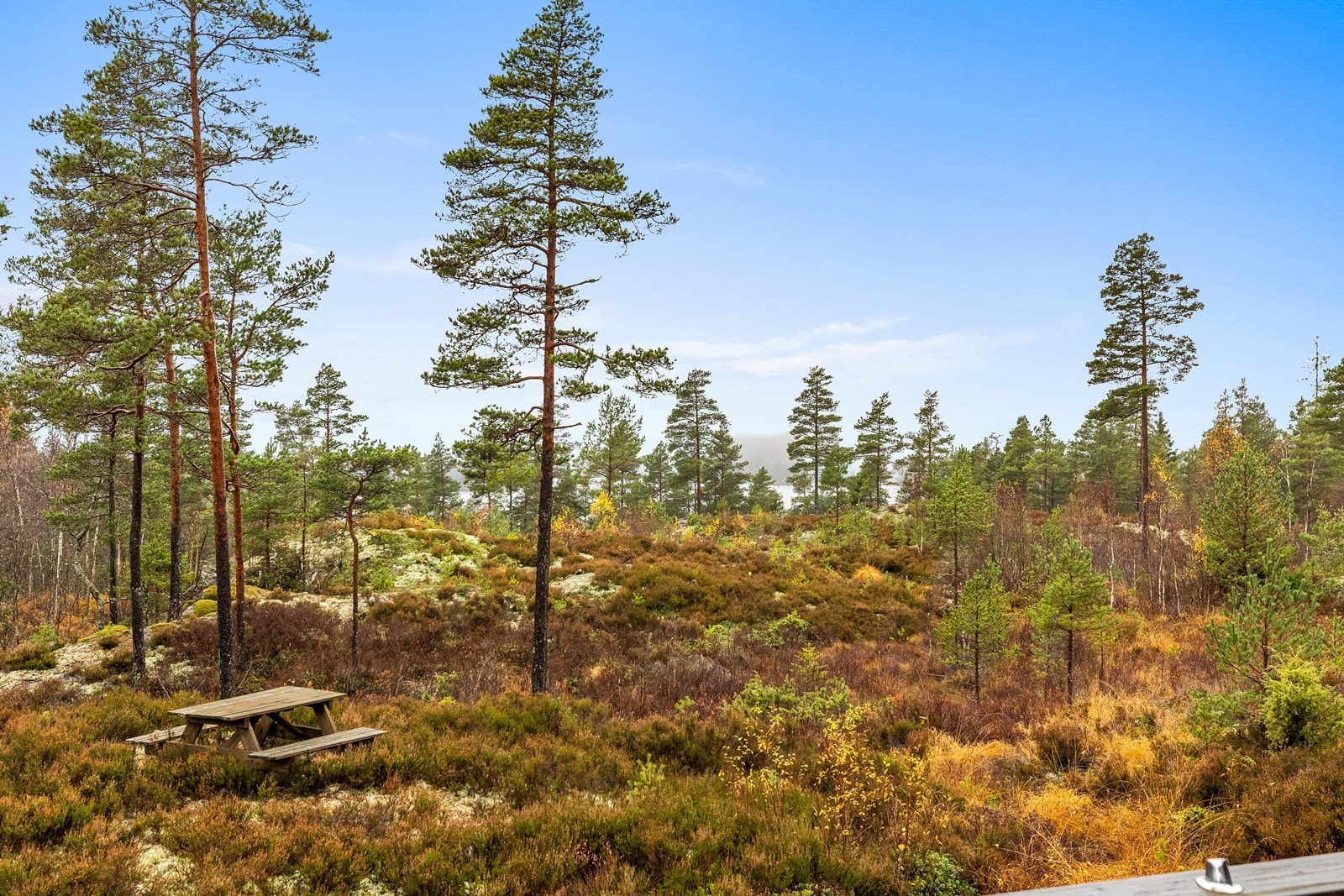 Eiendommen er omgitt av skog og lynghei, med gode turmuligheter rett utenfor døren. Galleribilde