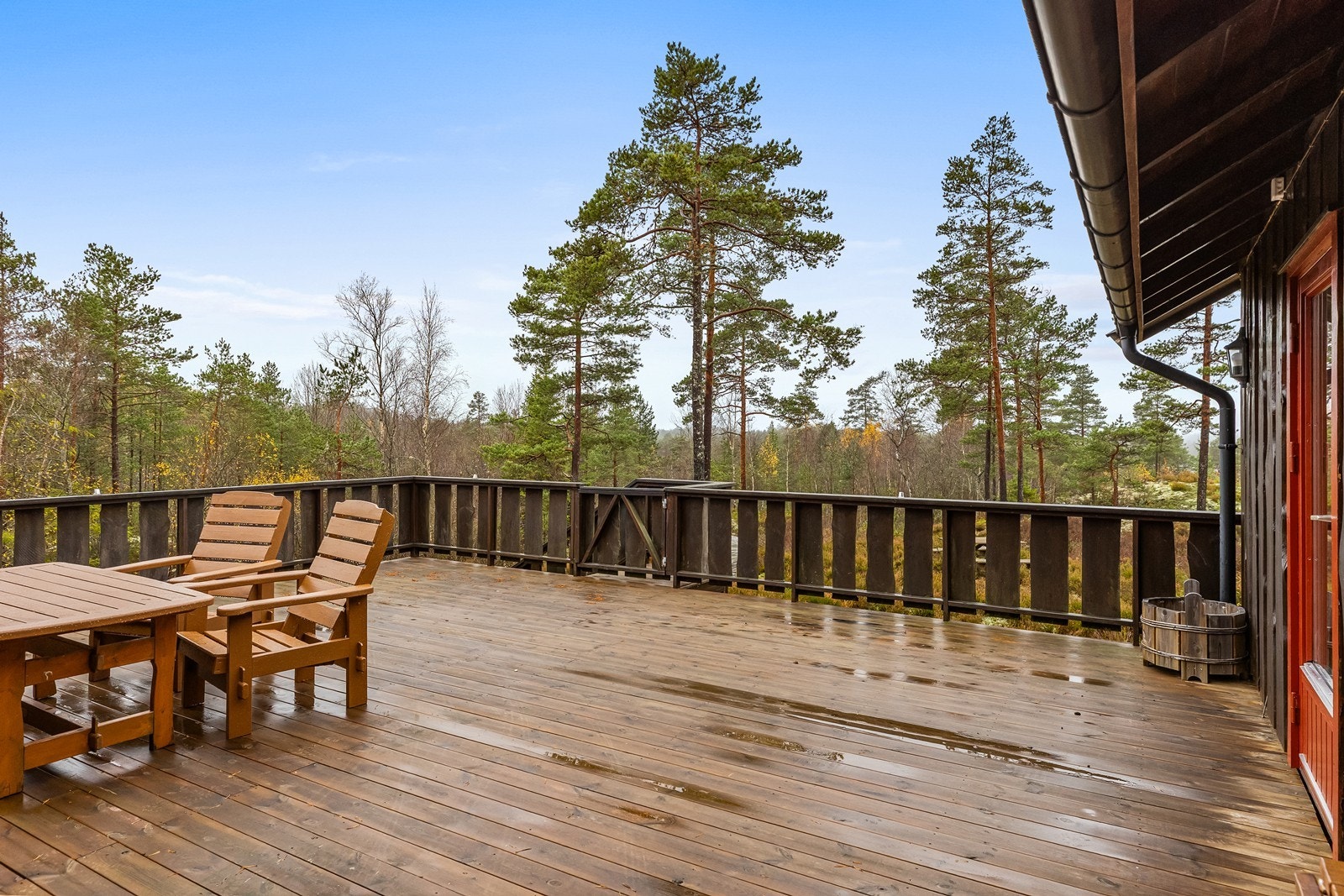 Velkommen til visning! Galleribilde