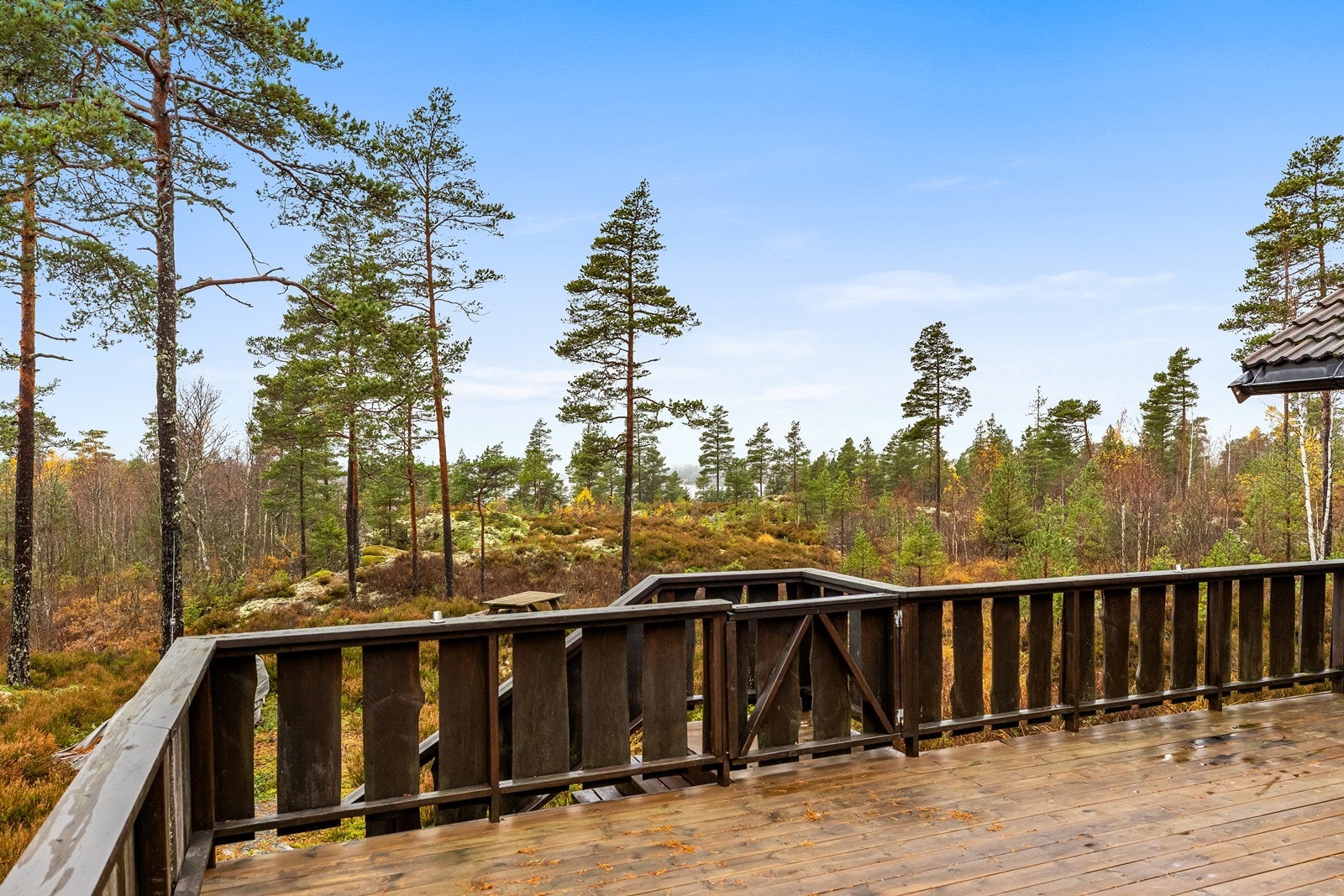Fra terrassen har man en åpen og fin utsikt over den omkringliggende naturen. Galleribilde