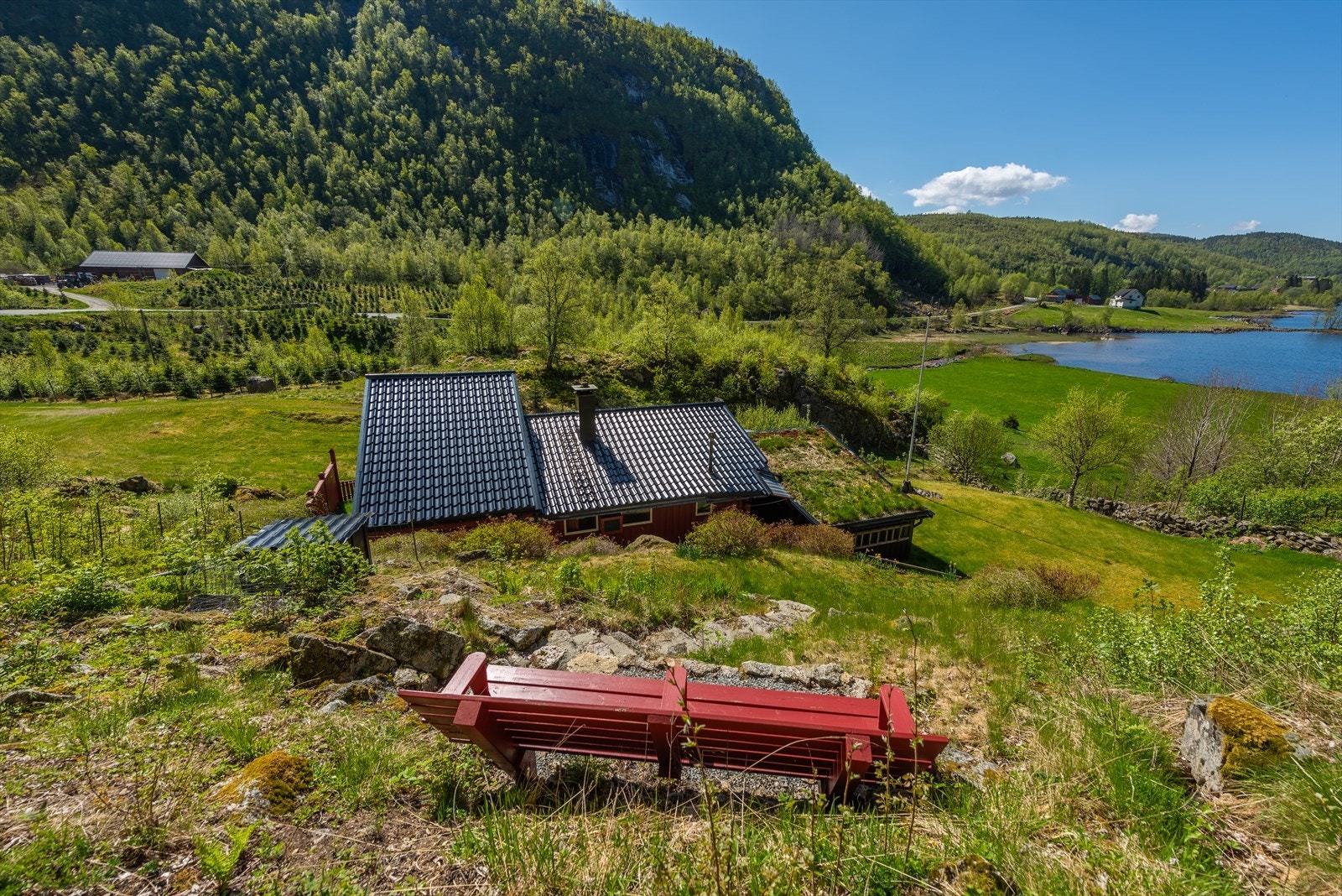 Velkommen til en hyggelig visning! Galleribilde