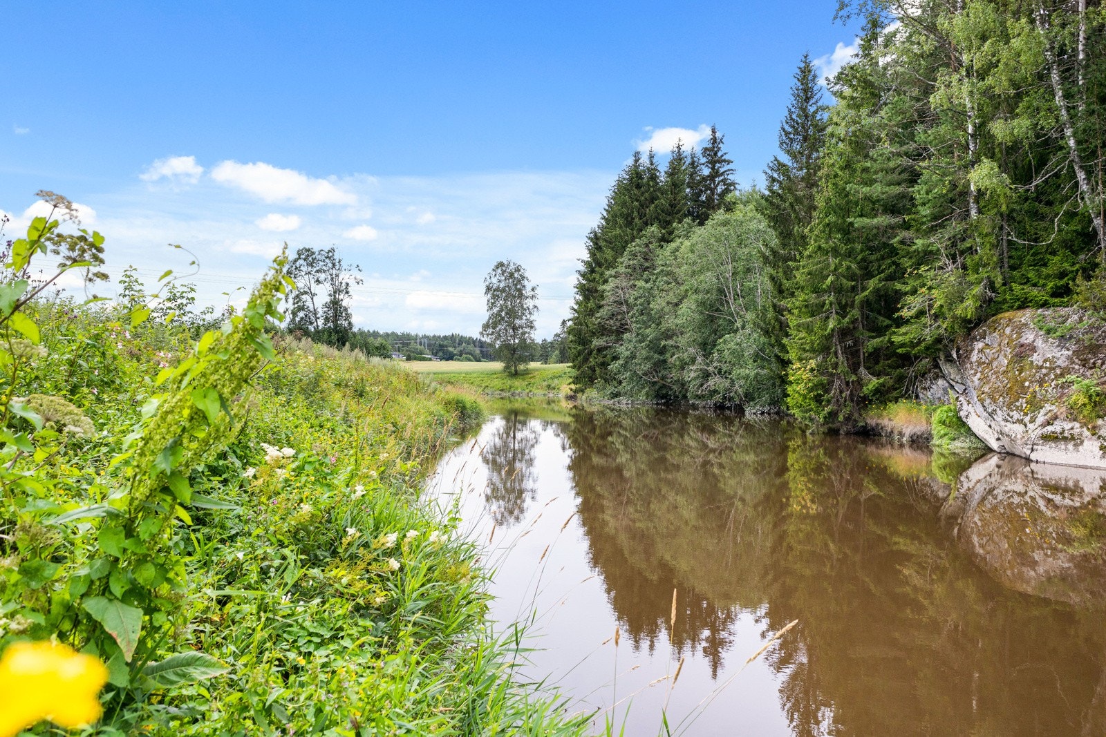 2P1A4610 Galleribilde