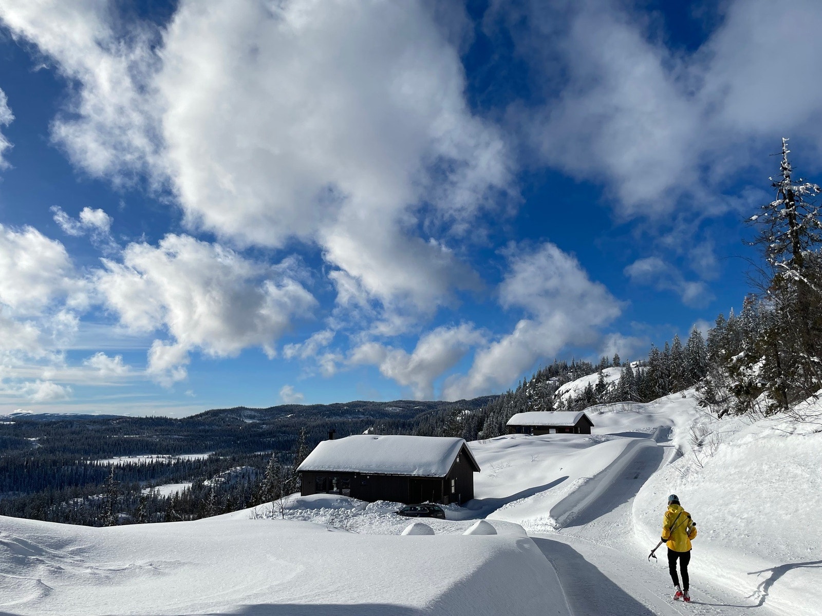Vinterbilde fra selgers arkiv. Galleribilde