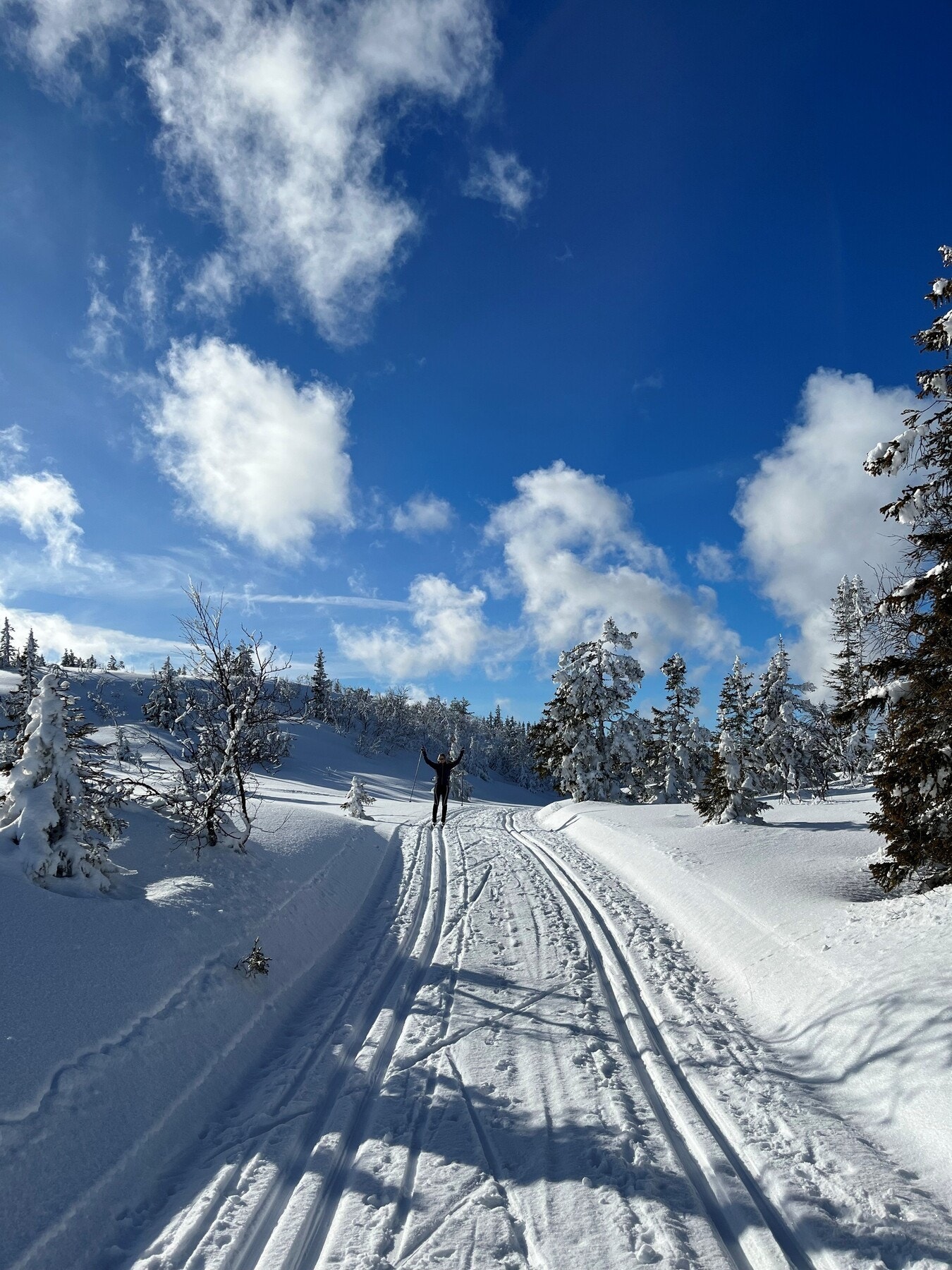 Vinterbilde fra selgers arkiv. Galleribilde