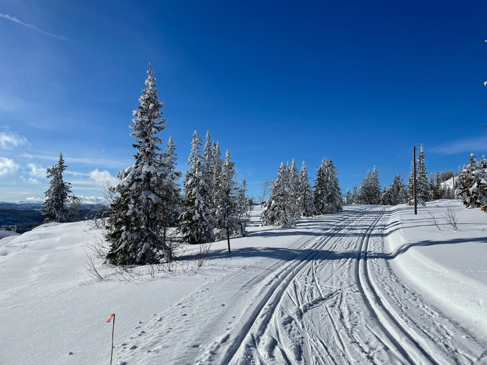 Vinterbilde fra selgers arkiv. Galleribilde