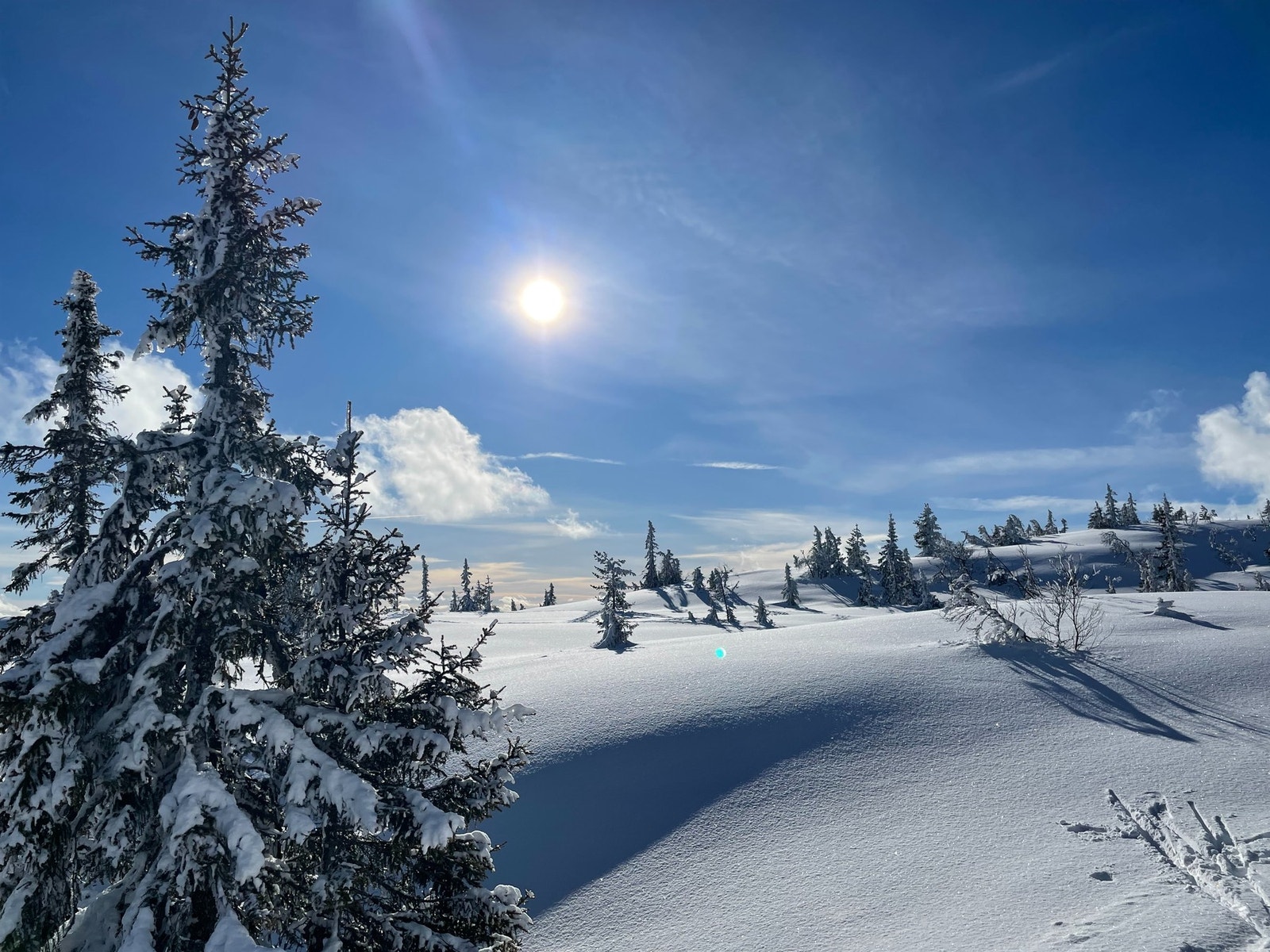 Vinterbilde fra selgers arkiv Galleribilde