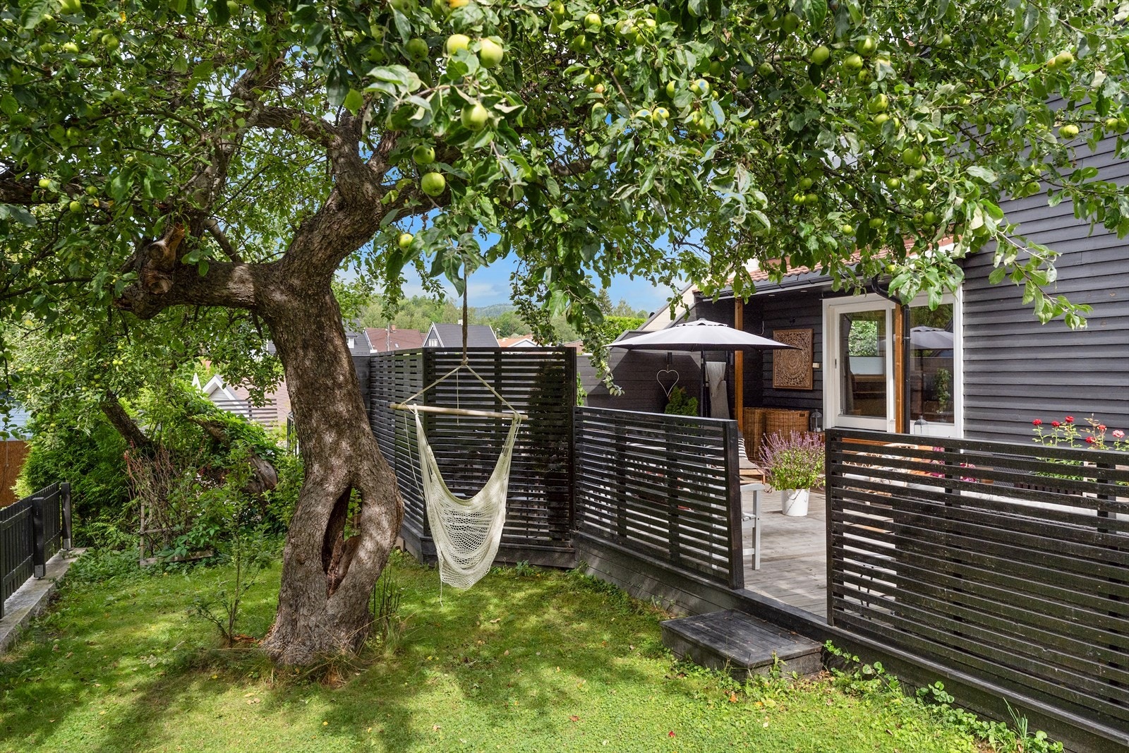 Velkommen til visning! Galleribilde