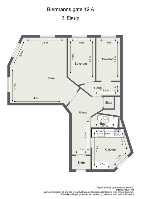 Plantegning Galleribilde